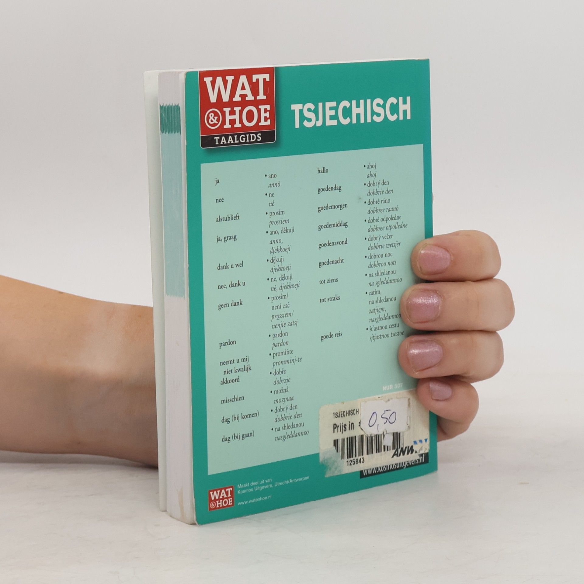Wat & Hoe taalgids: Tsjechisch