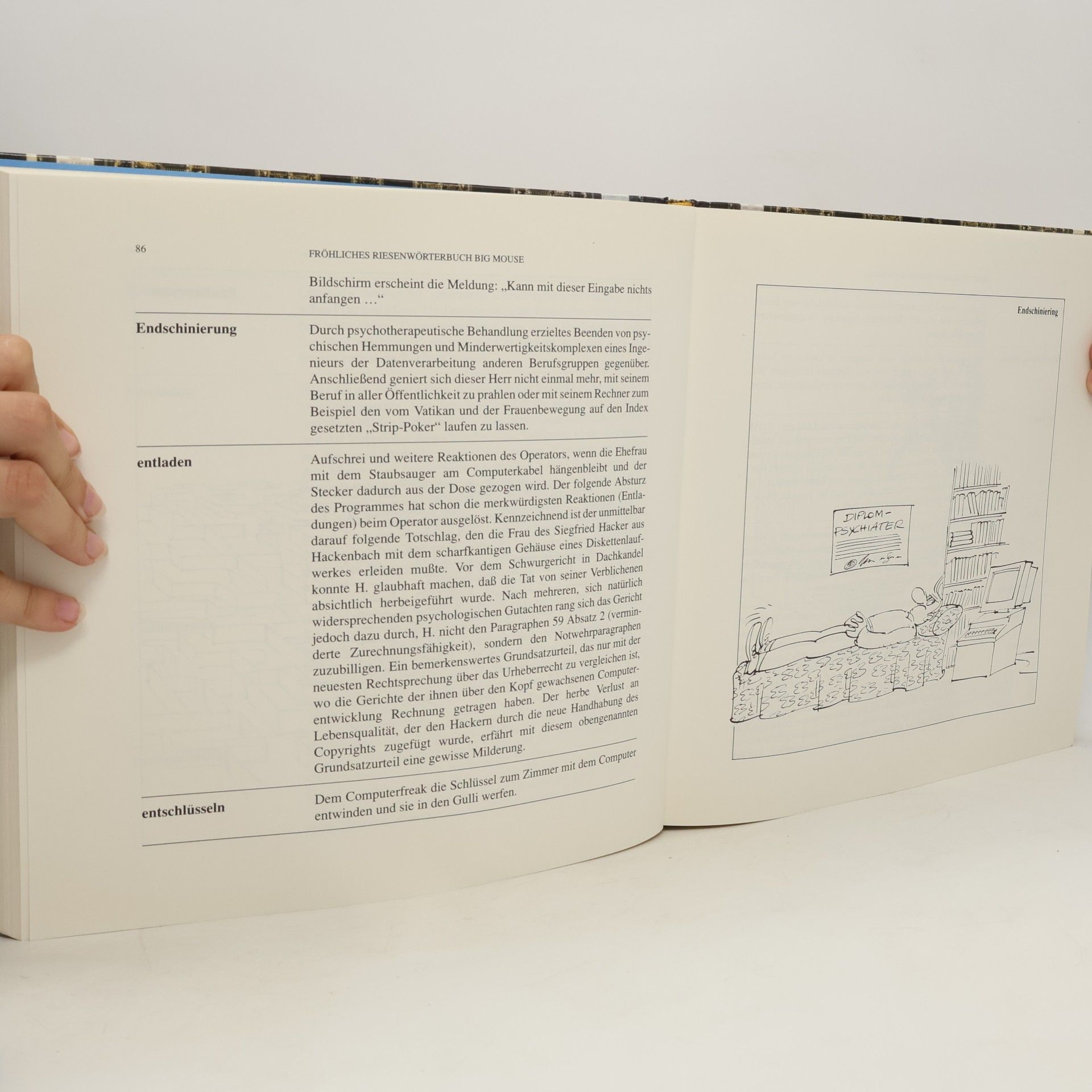 L. Badsy Das fröhliche Riesenwörterbuch für Computerfreaks