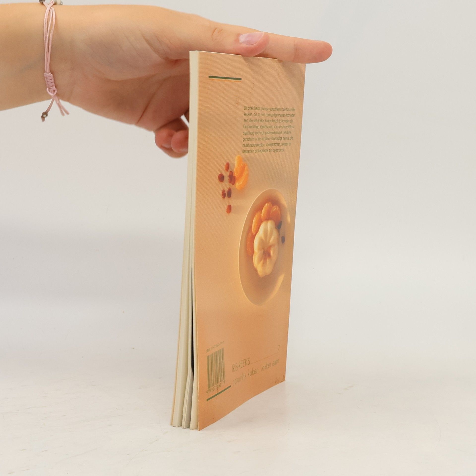 Ineke Janssen Heerlijke vegetarische menu's