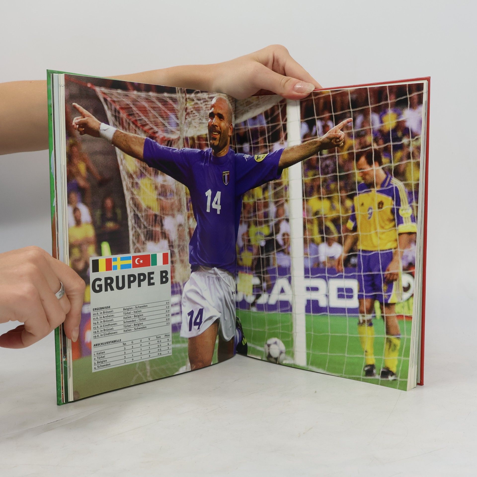 Marcel Reif Euro 2000. Das Fußball-EM-Buch