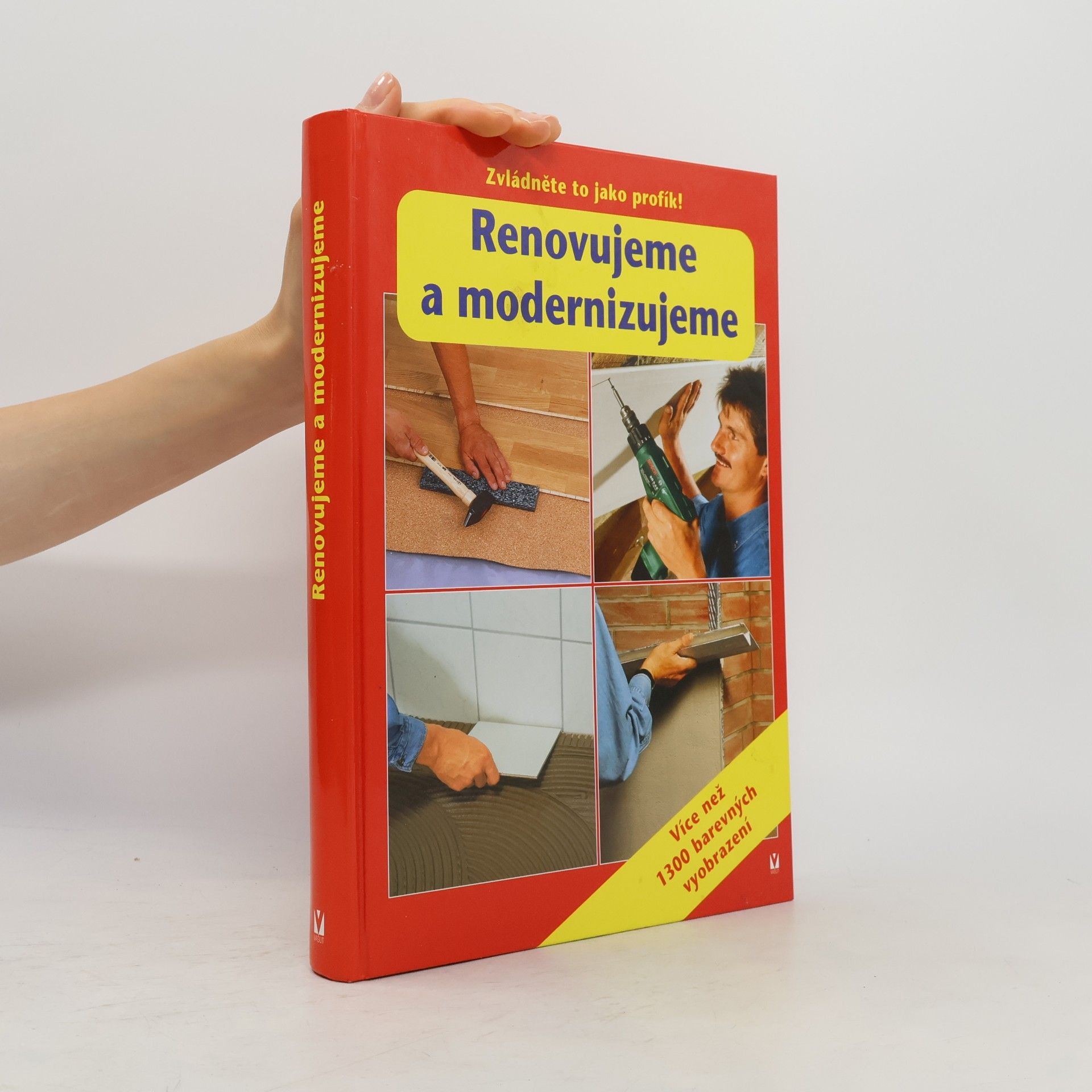 Kolektiv autorů Renovujeme a modernizujeme