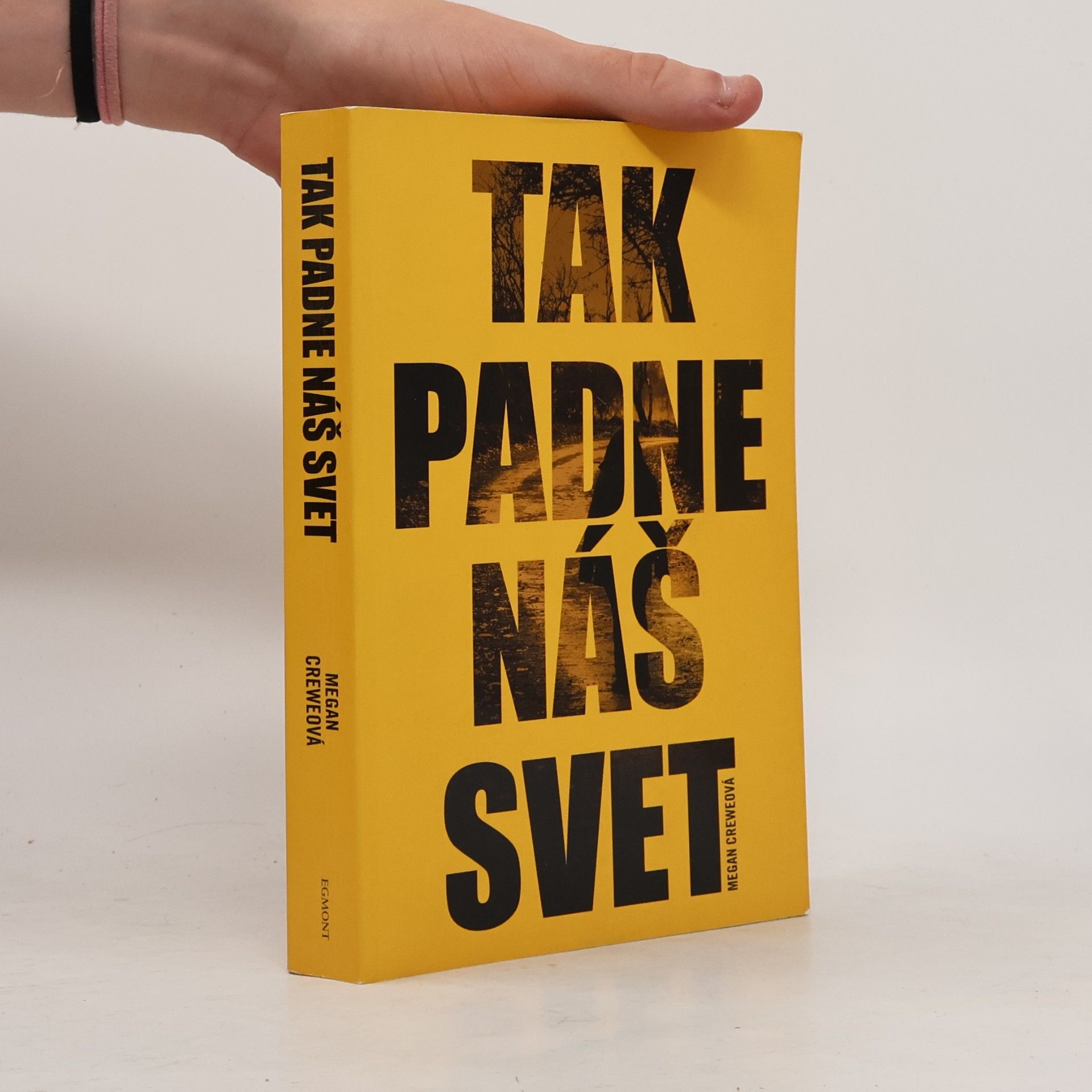 Megan Crewe Tak padne náš svet
