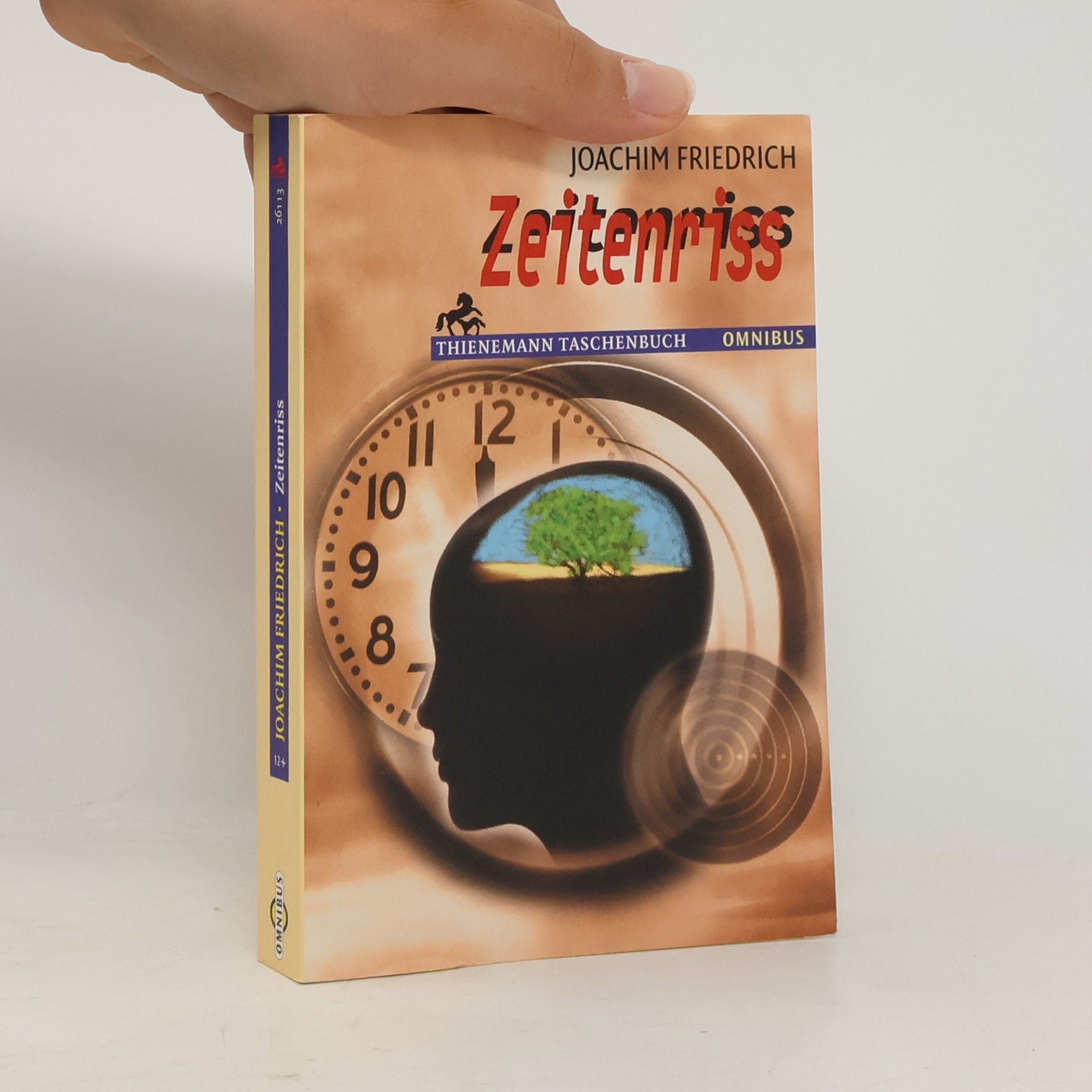 Joachim-Friedrich Kapp Zeitenriss