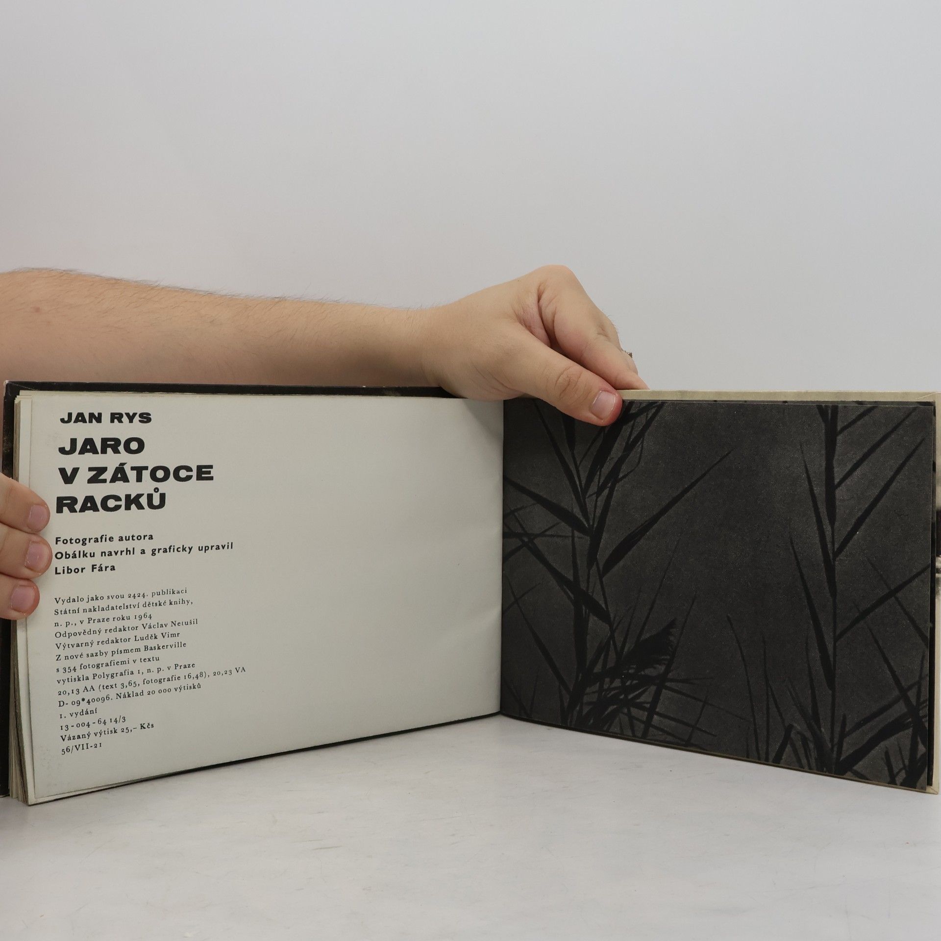 Jan Rys Jaro v zátoce racků