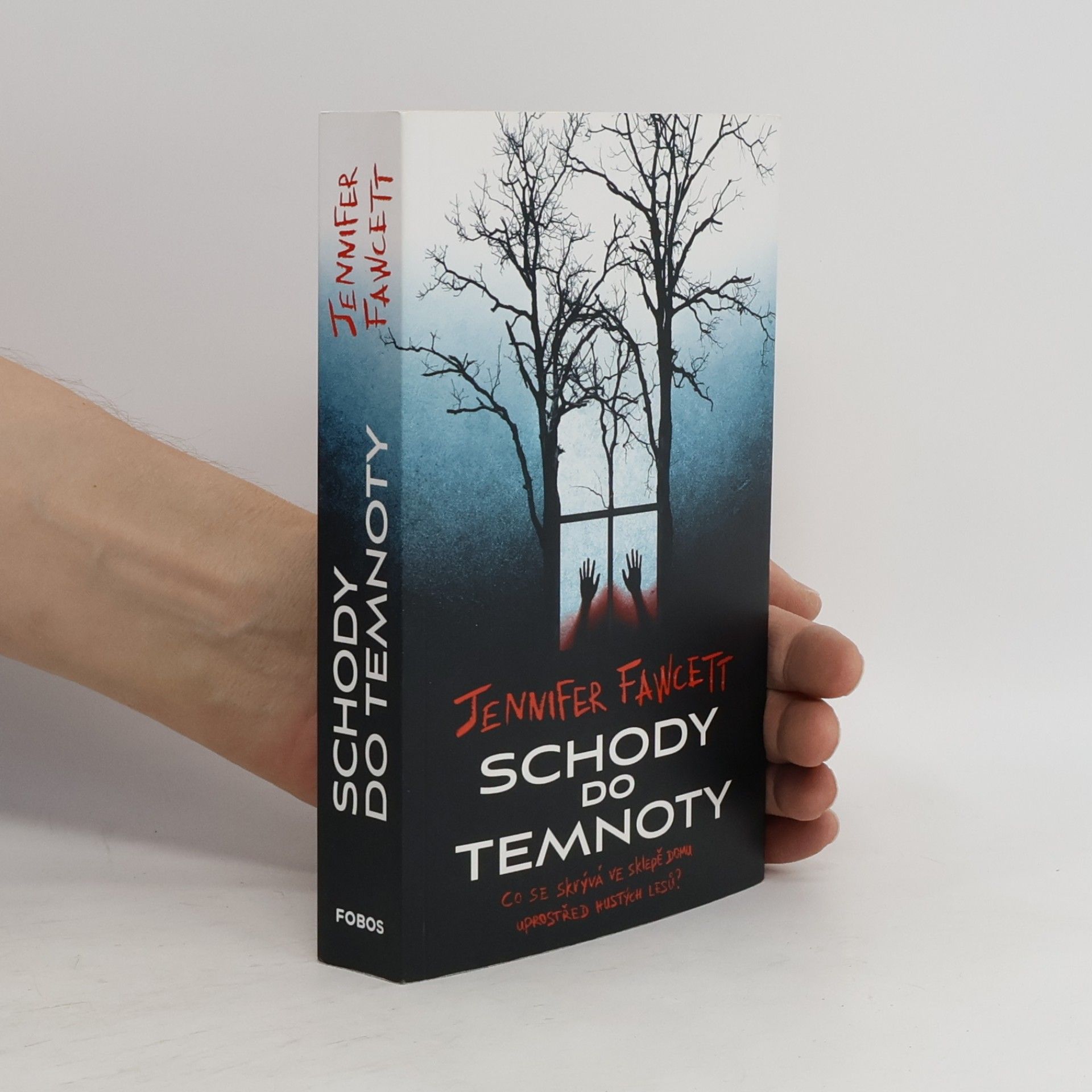 Jennifer Fawcett Schody do temnoty