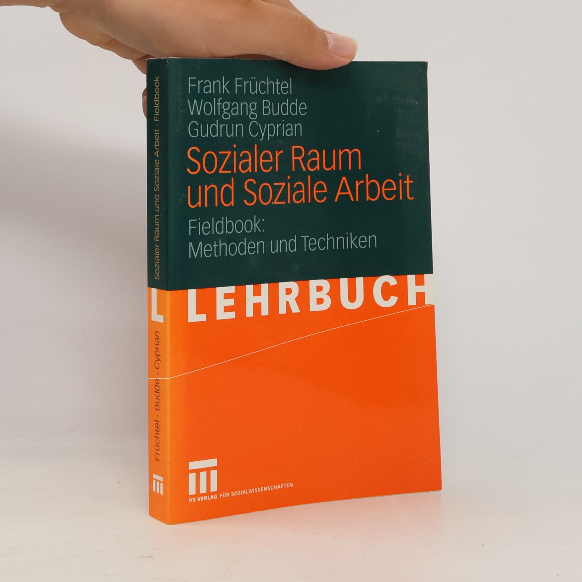 Frank Früchtel Sozialer Raum und soziale Arbeit