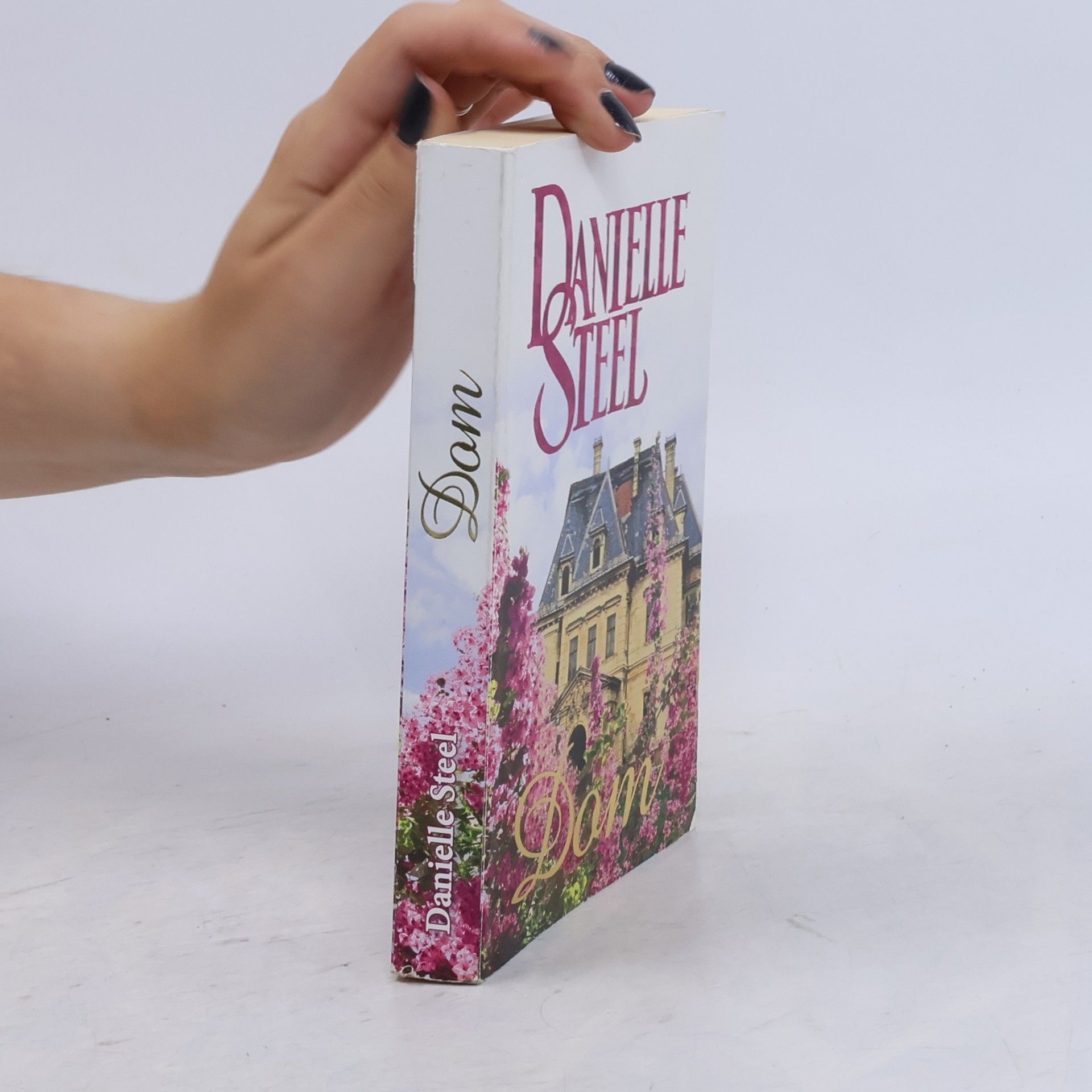 Danielle Steel Dom