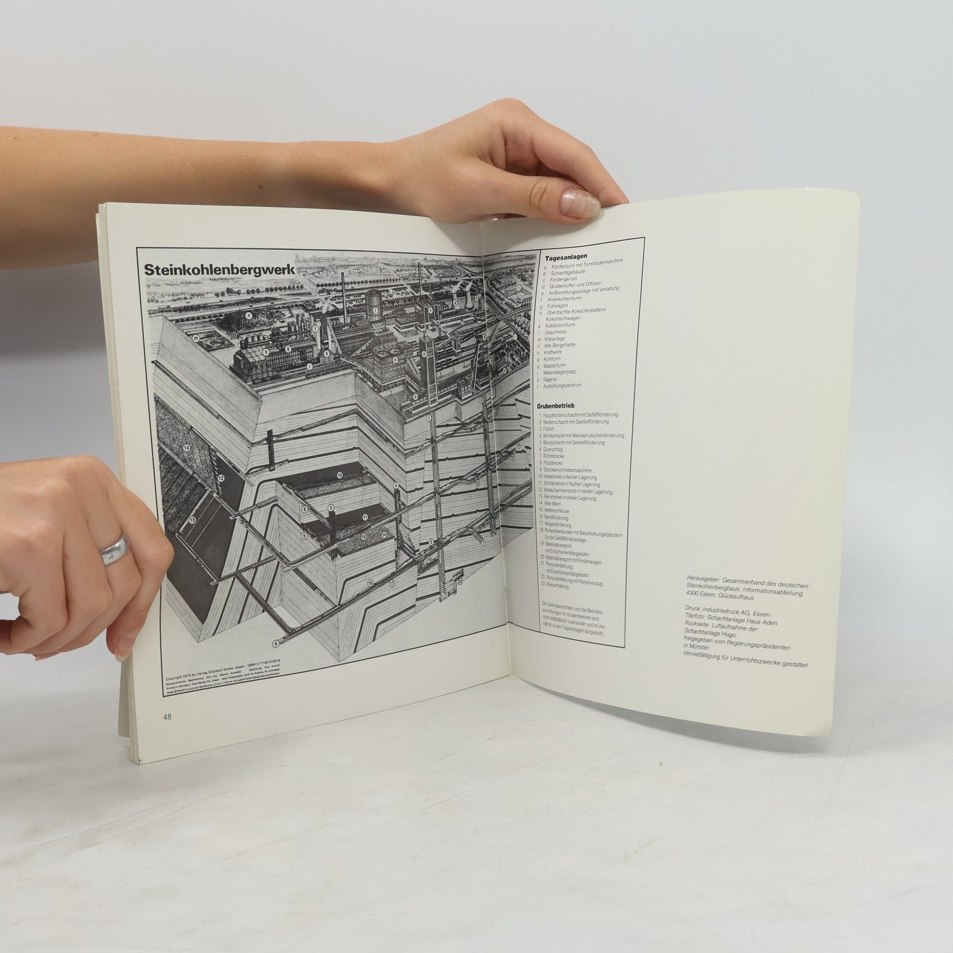 kolektiv Steinkohlenbergbau