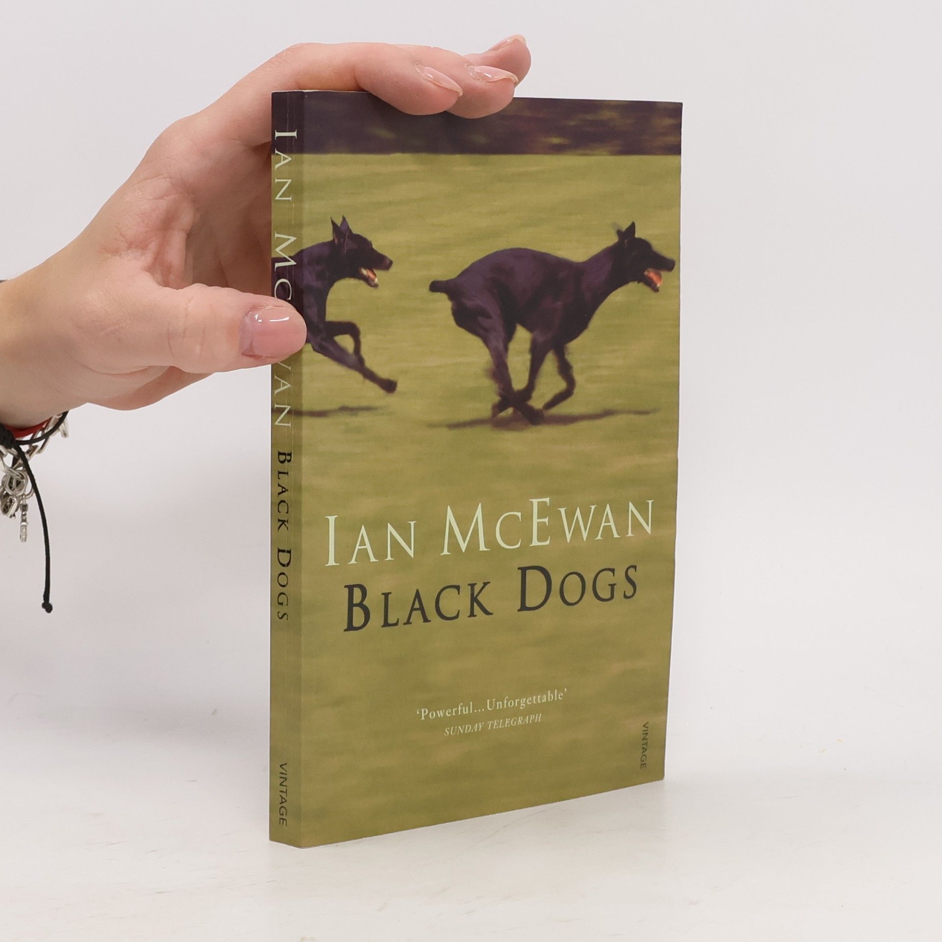 Ian McEwan Black dogs