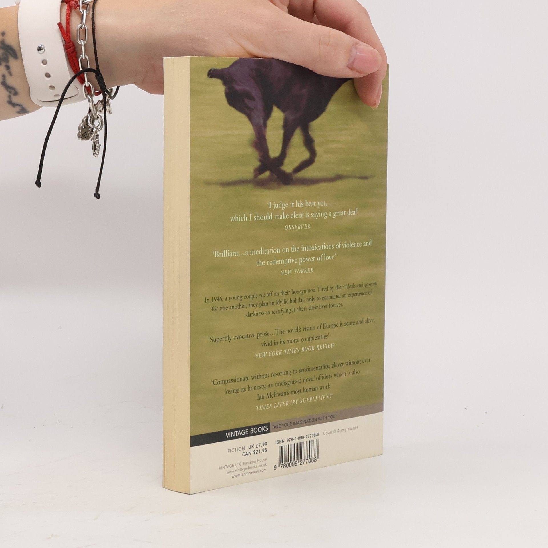 Ian McEwan Black dogs