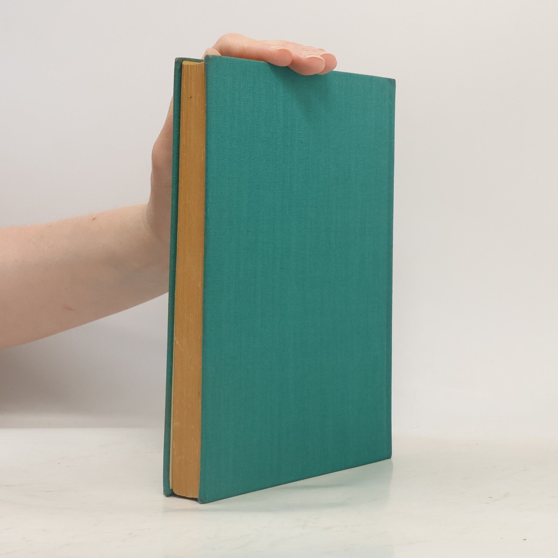 Fritz Rienecker Der Brief des Paulus an die Epheser
