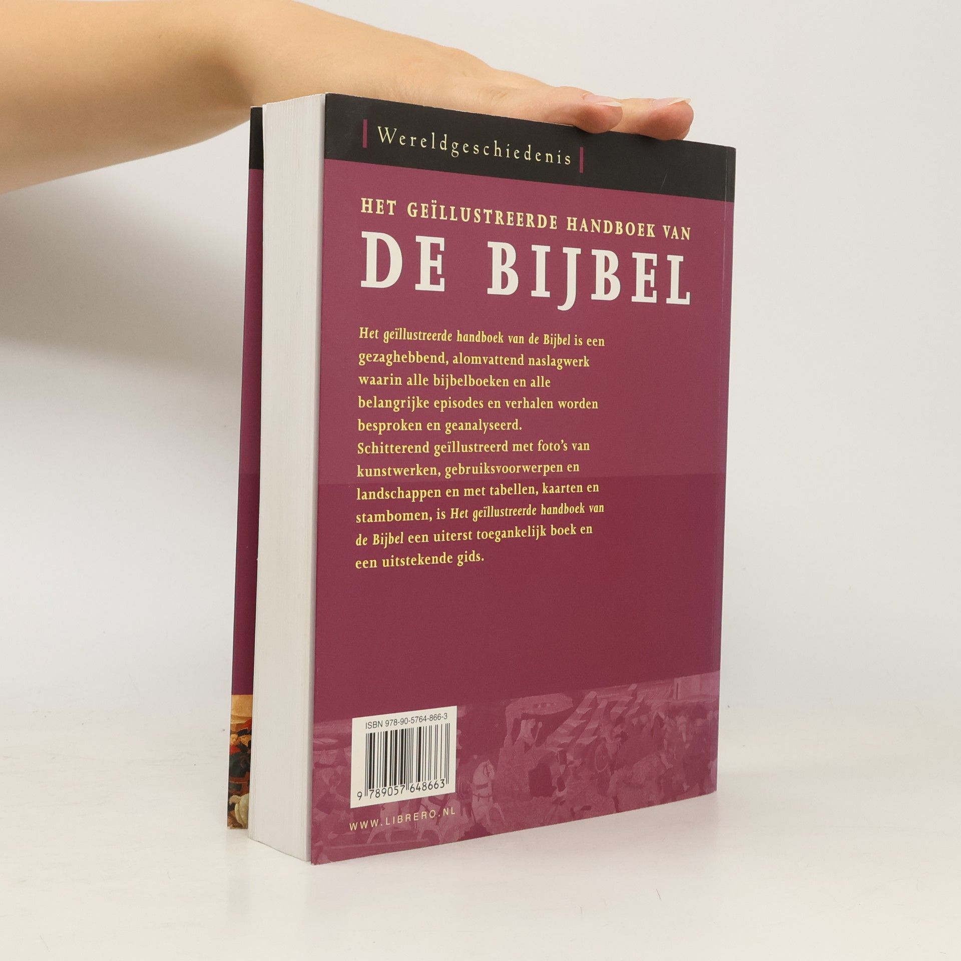 J. R. Porter Het geïllustreerde handboek van de Bijbel