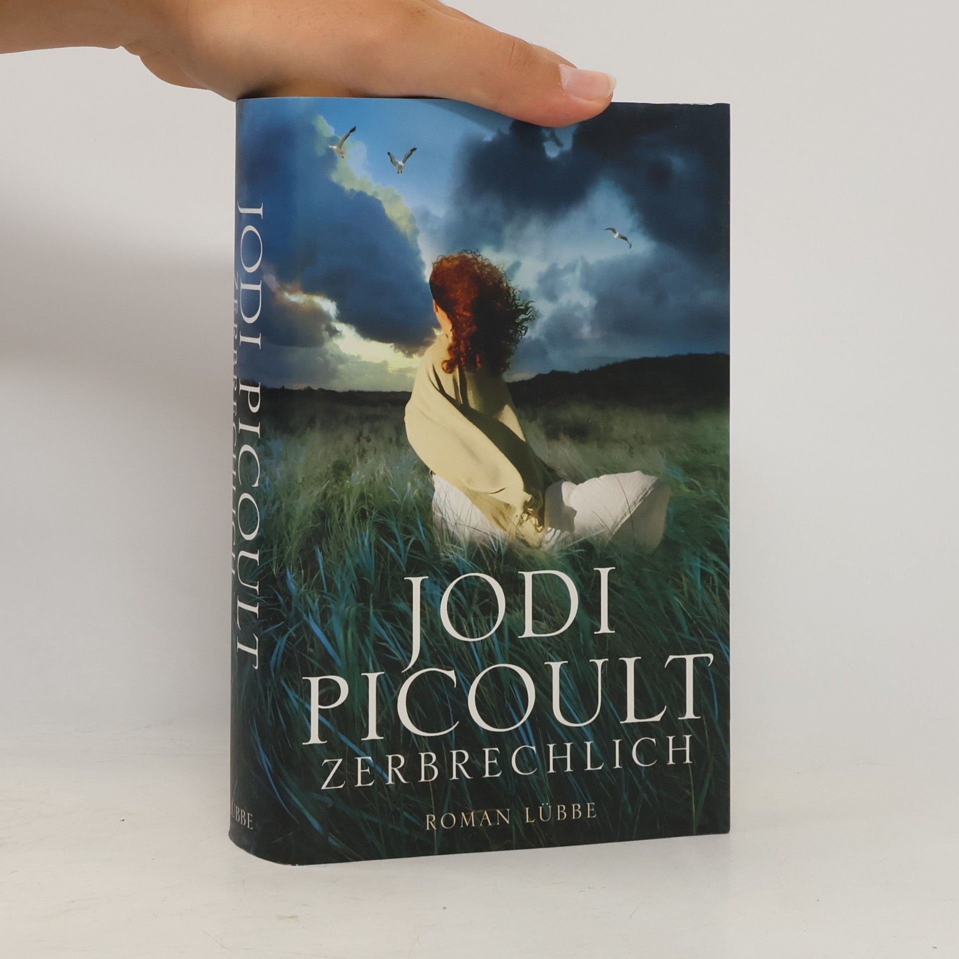 Jodi Picoult Zerbrechlich