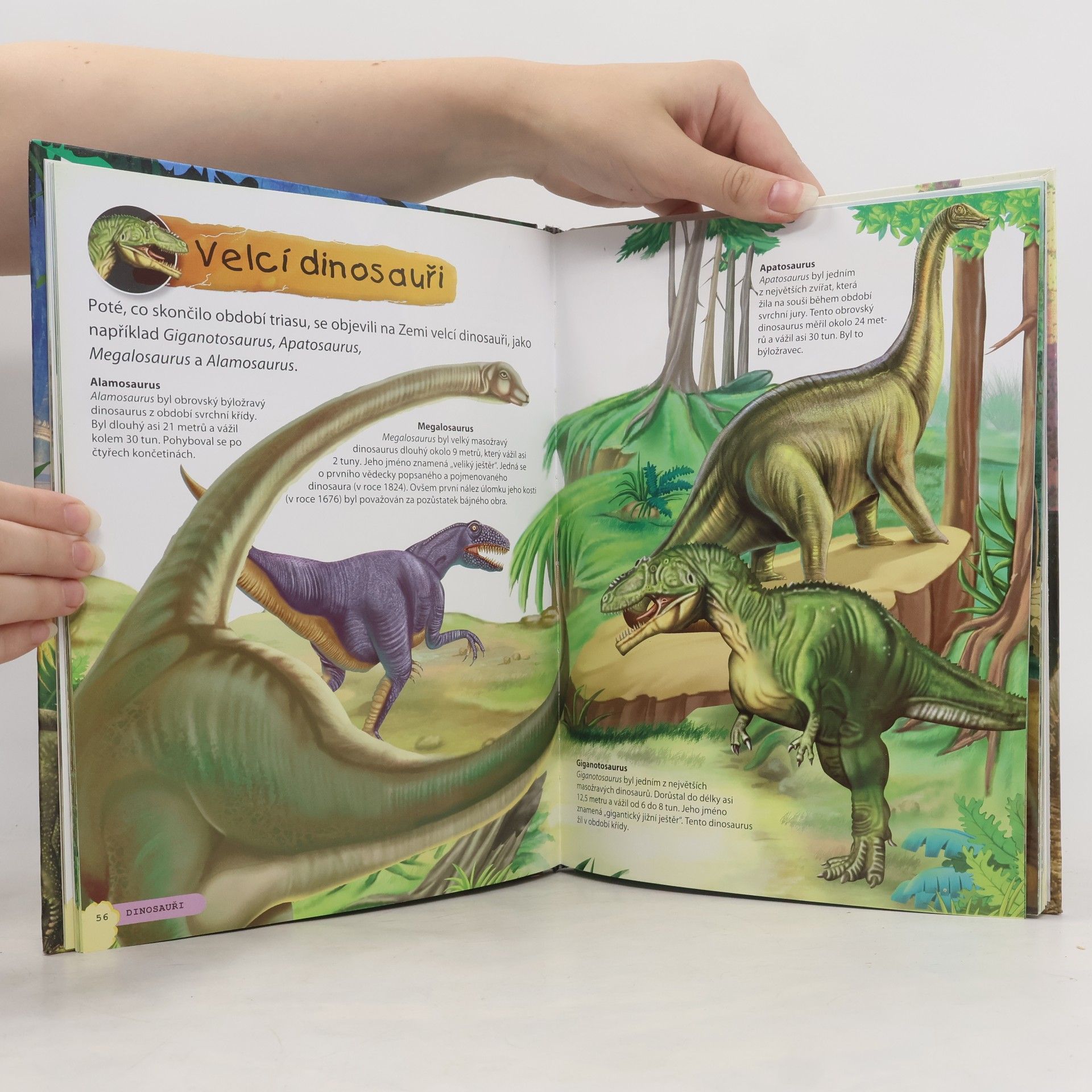 Martina Blahníková Dinosauři - úžasný svět