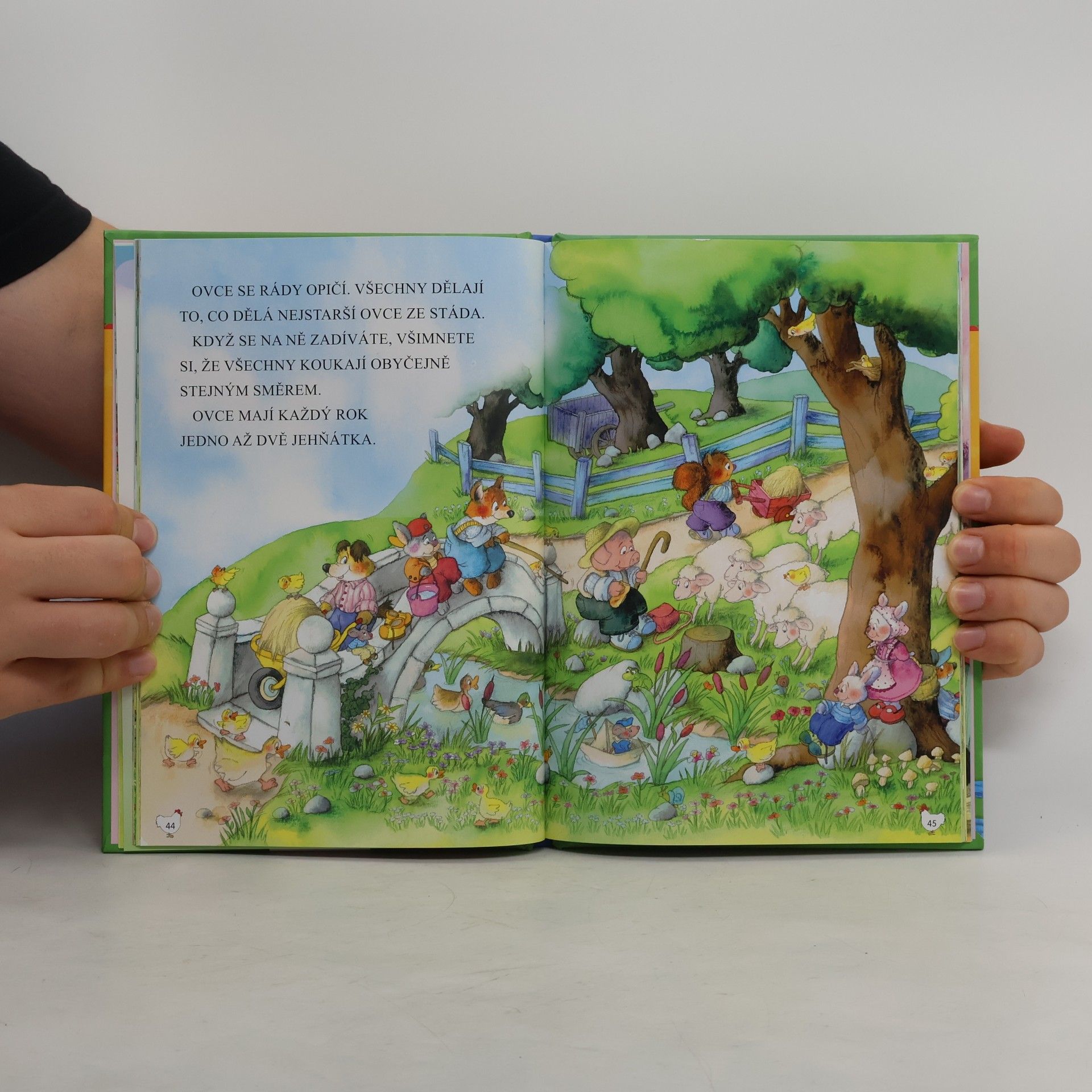 Autorenkollektiv Moje první čtení Zvířátka na statku