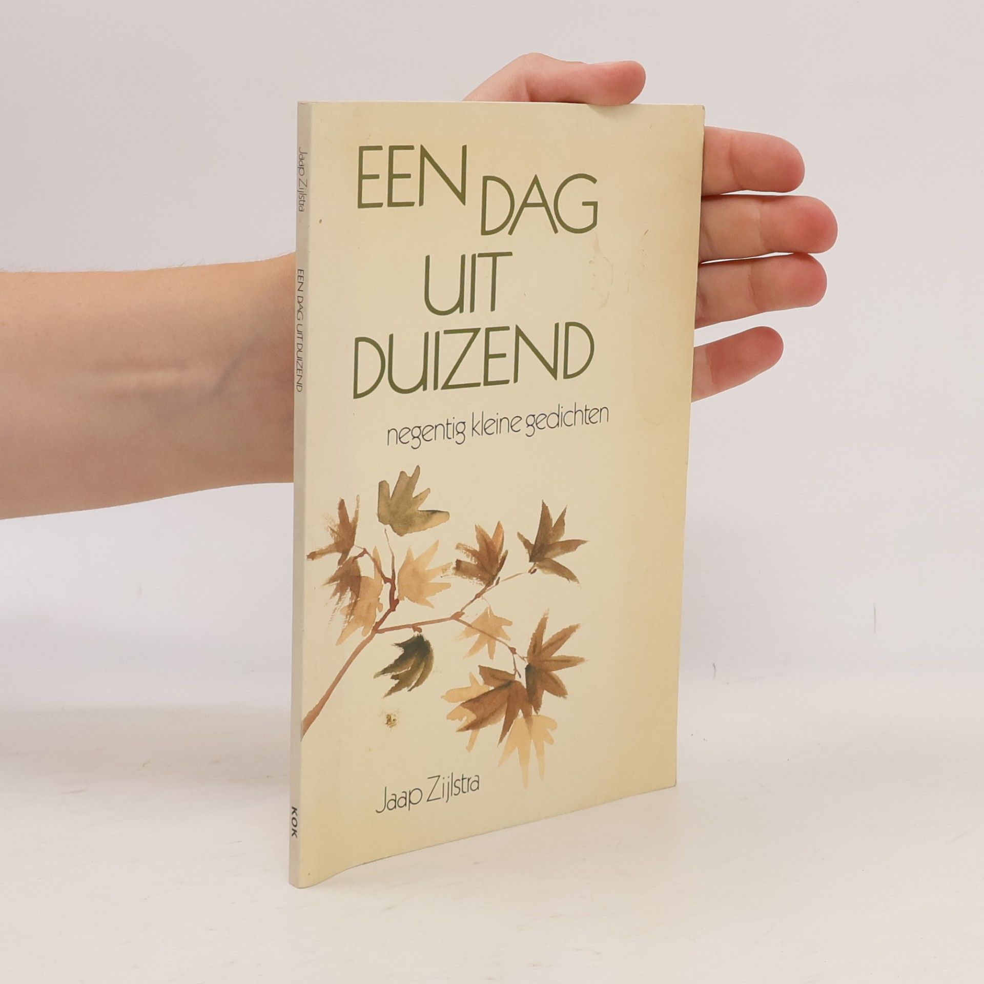 Jacob Roelof Zijlstra Een dag uit duizend
