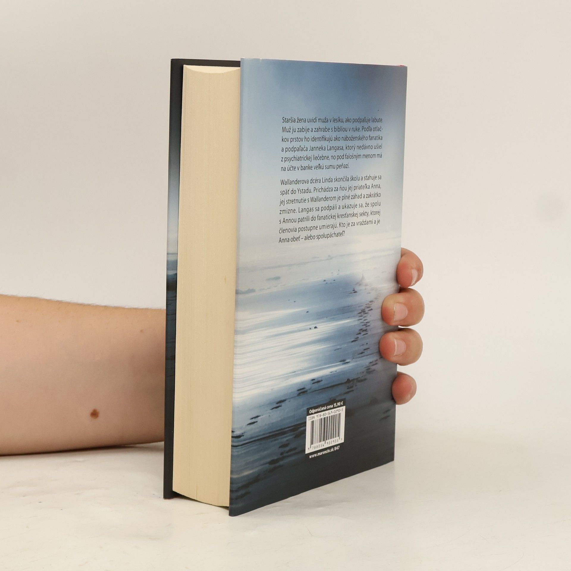 Henning Mankell Kým príde mráz