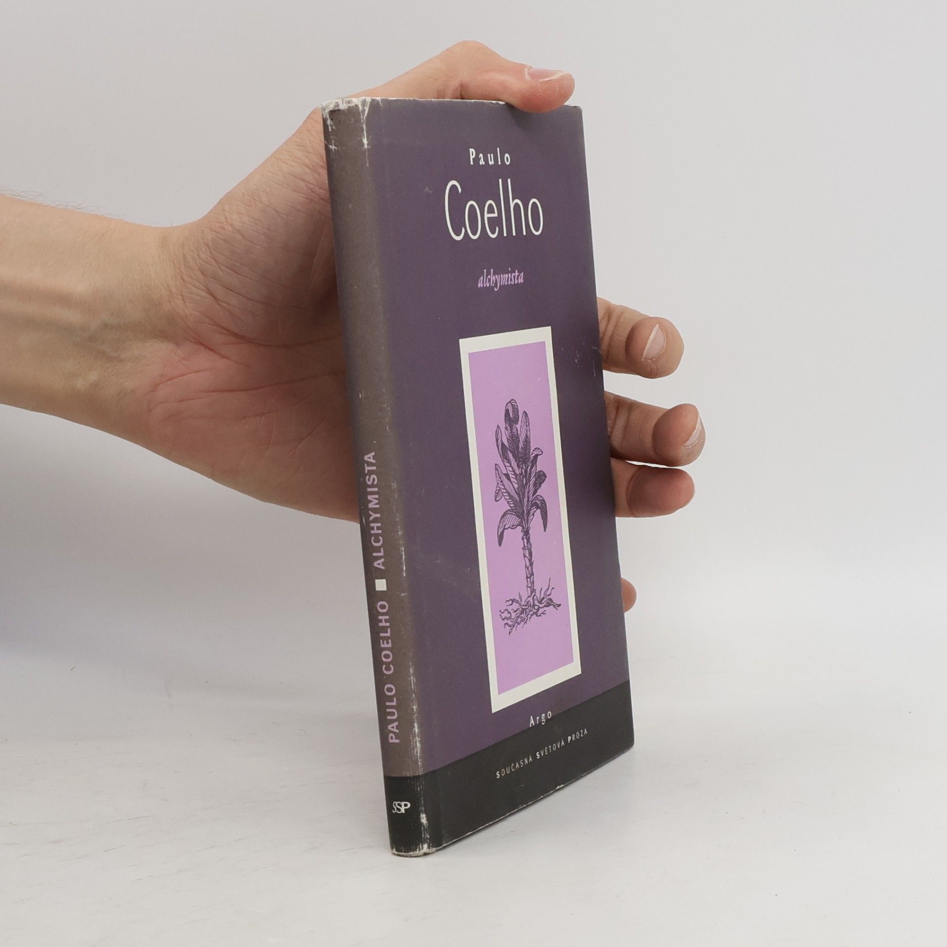 Paulo Coelho Alchymista