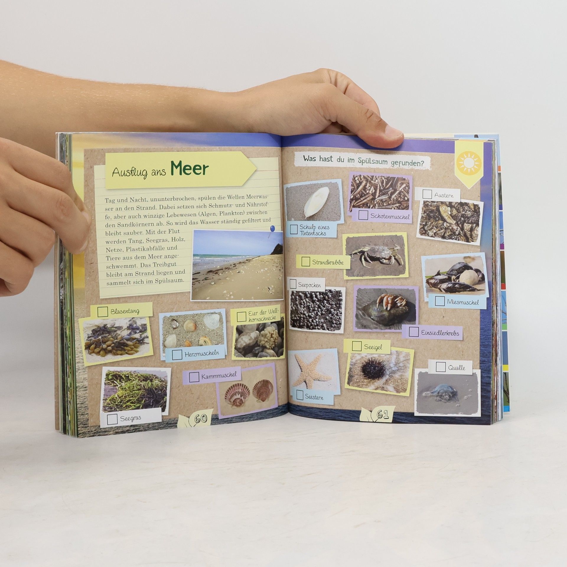 Anita van Saan Das Naturforscher Buch
