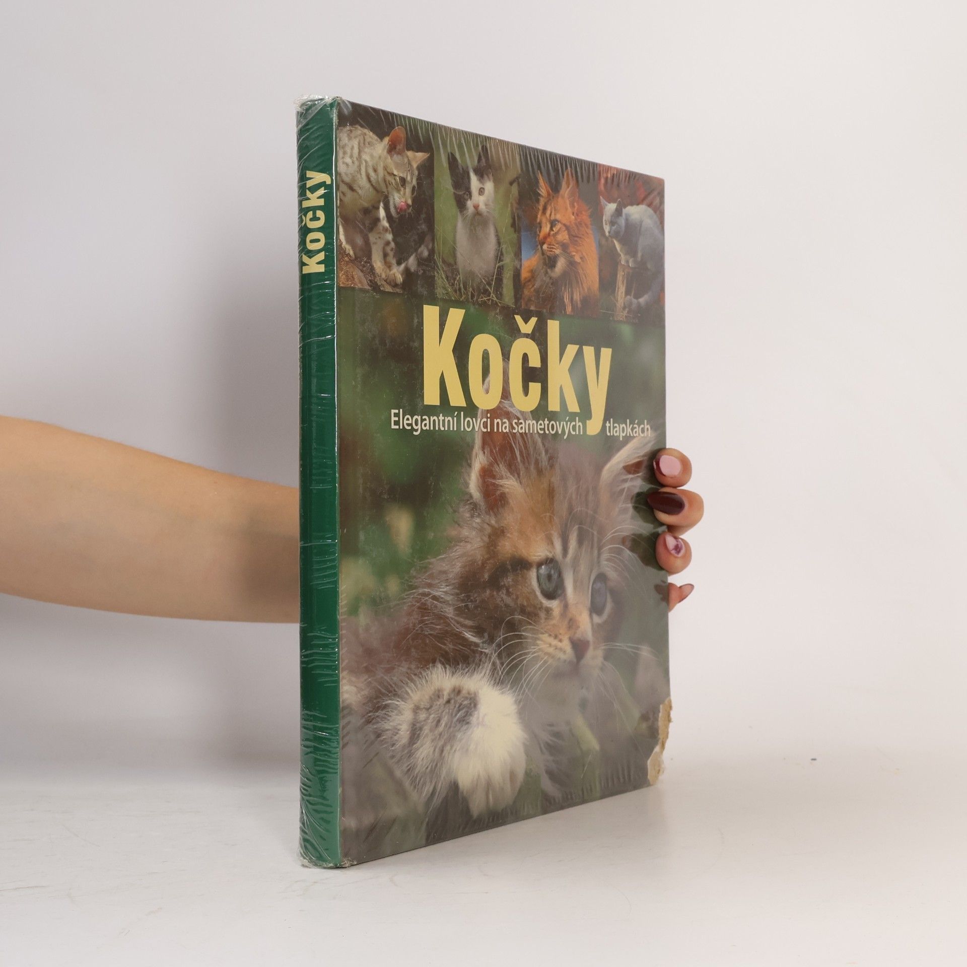 Birgit Adam Kočky. Elegantní lovci na sametových tlapkách