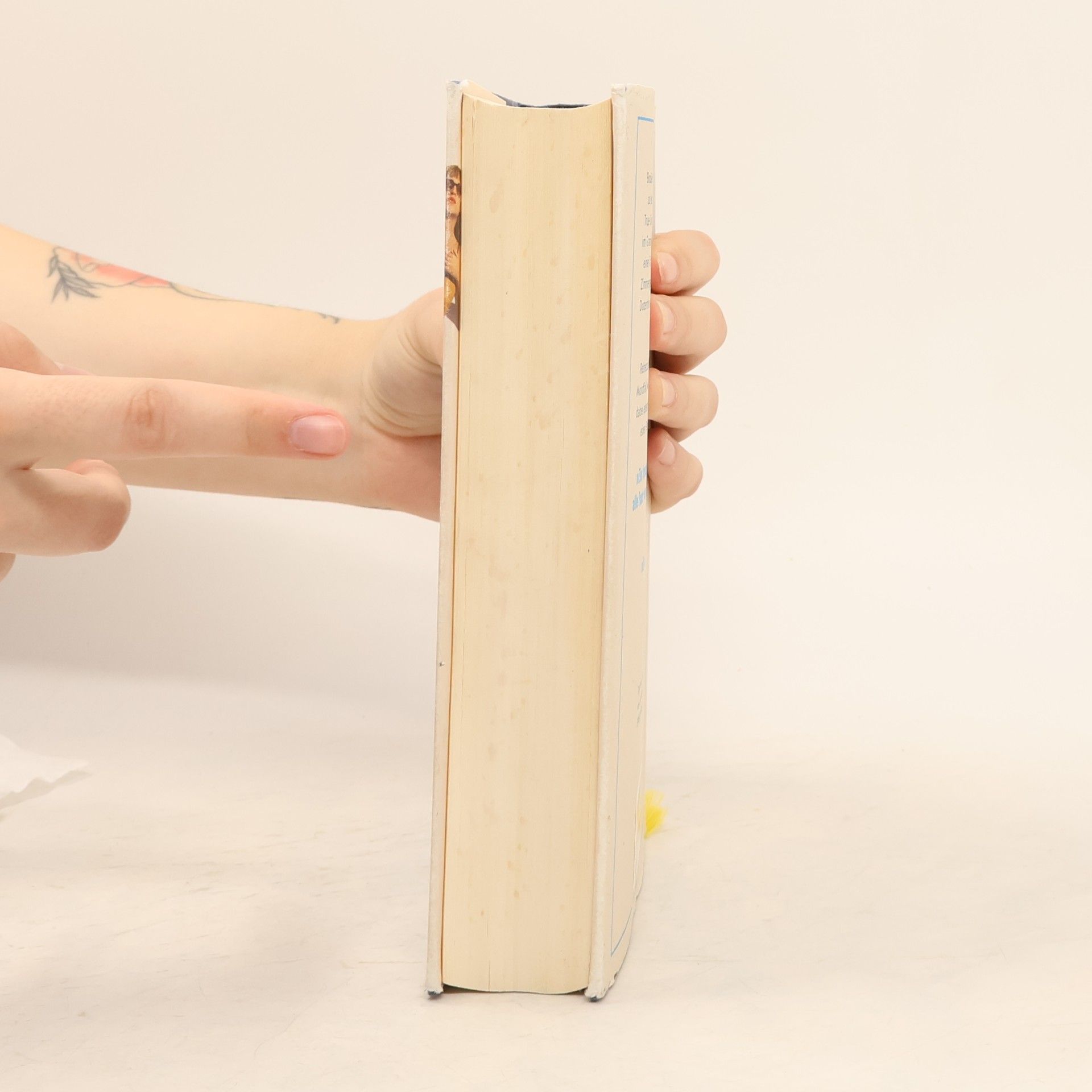 Rebecca Makkai Ich hätte da ein paar Fragen an Sie