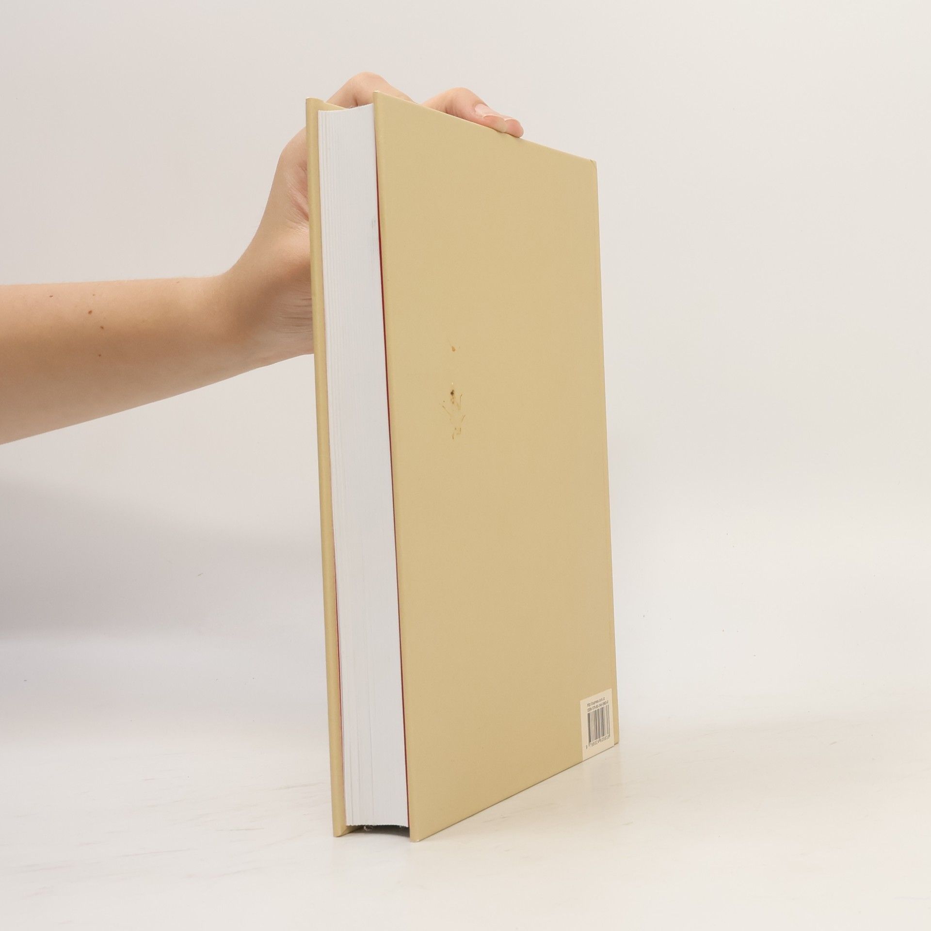 Jan Royt Slovník biblické ikonografie