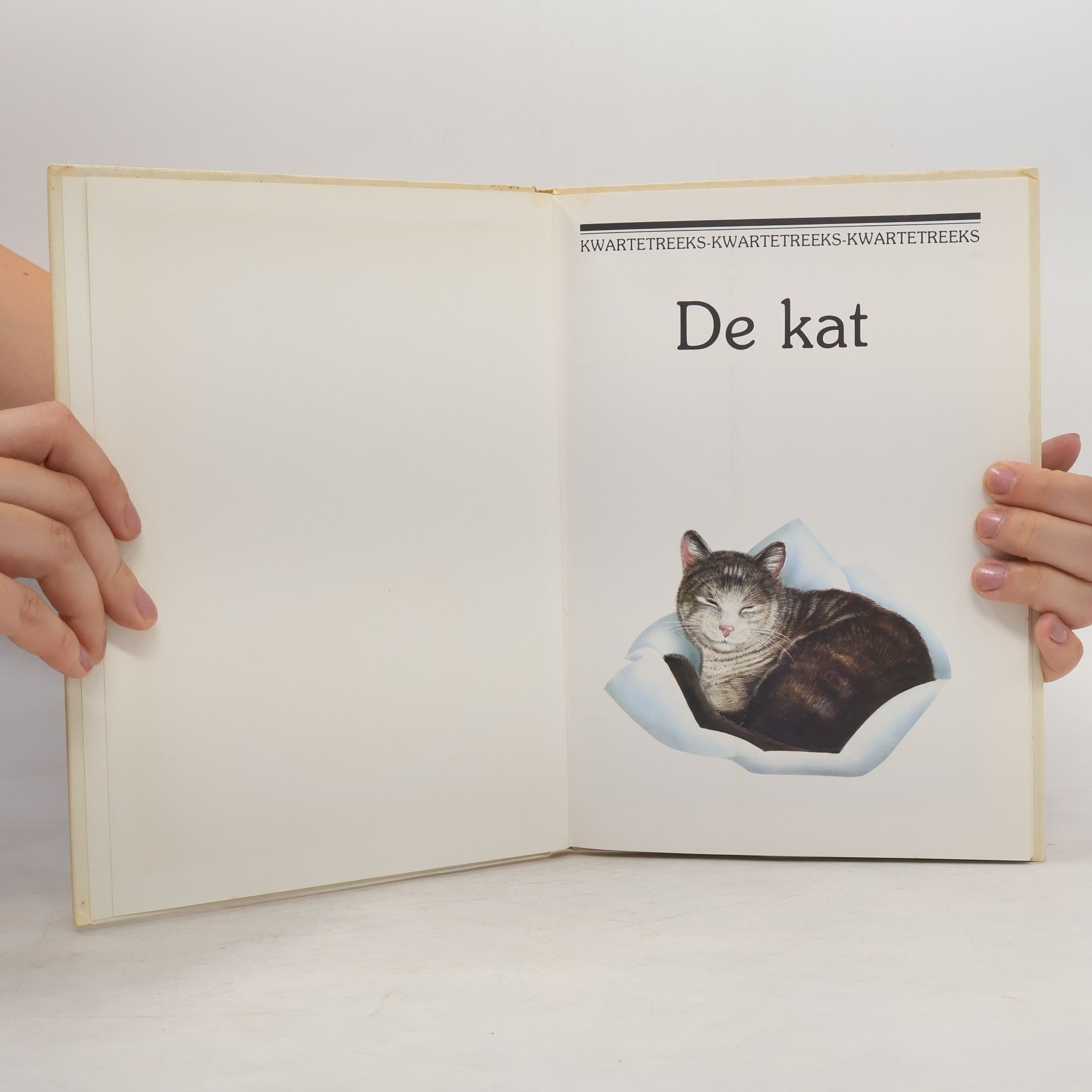 Harriet Laurey De kat