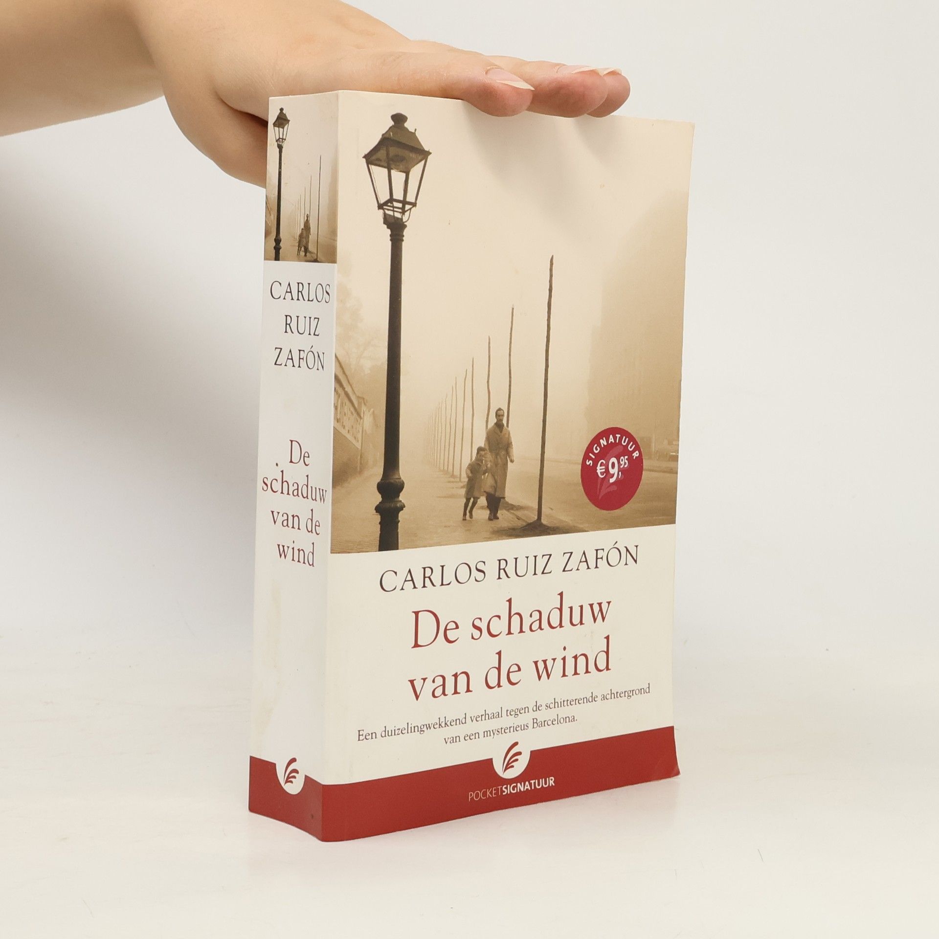 Carlos Ruiz Safon De schaduw van de wind