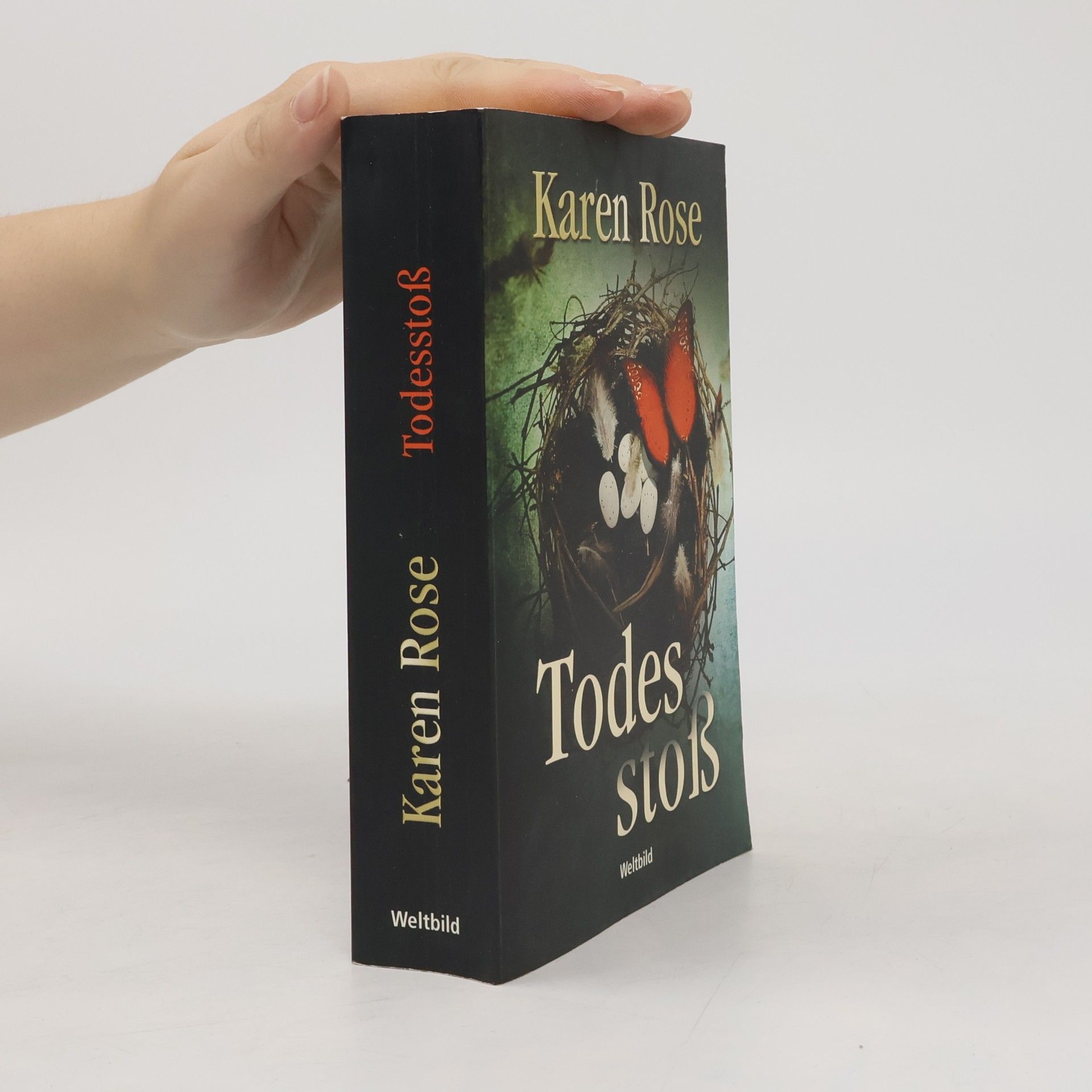 Karen Rose Todesstoß