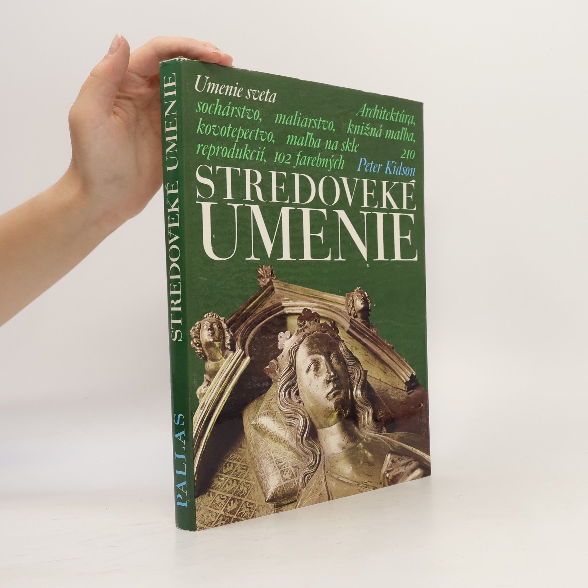 Peter Kidson Stredoveké umenie