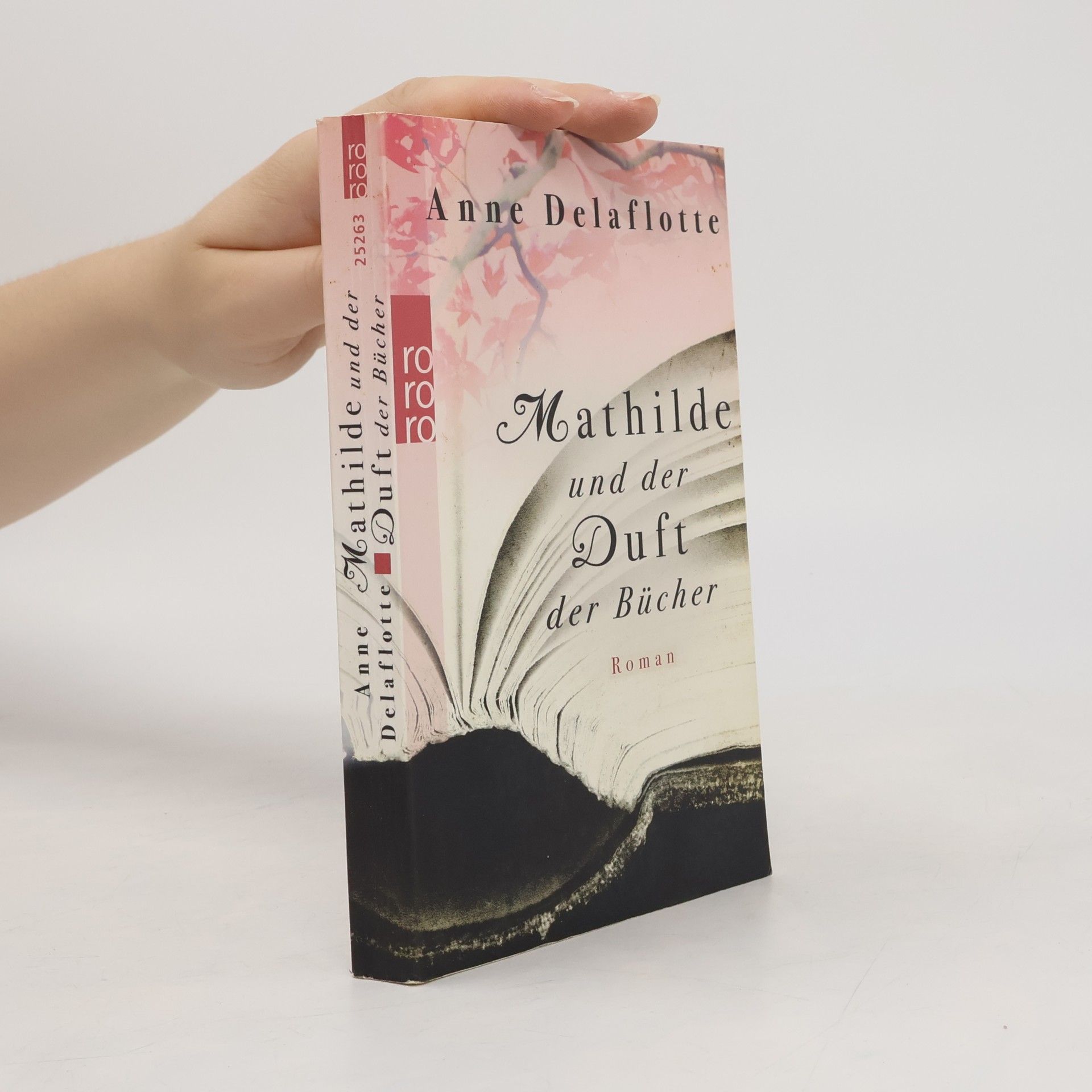 Anne Delaflotte Mehdevi Mathilde und der Duft der Bücher