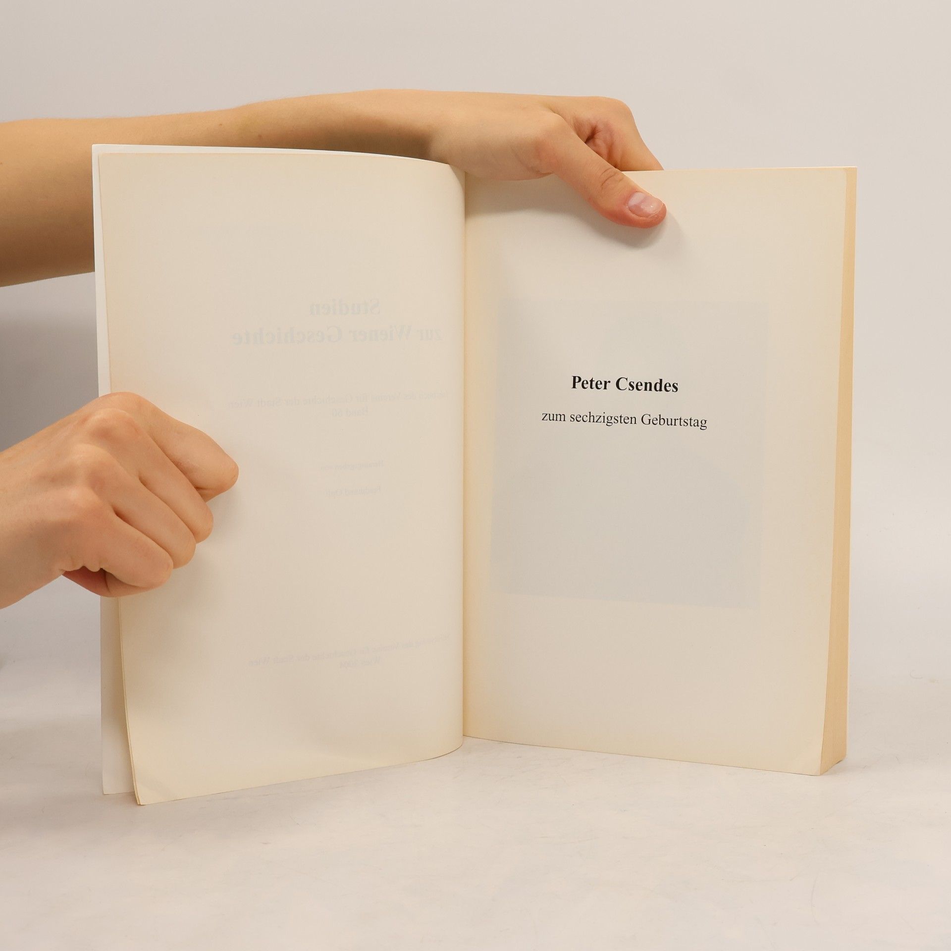 Autorenkollektiv Wiener Geschichte. Jahrbuch des Vereins für Geschichte der Stadt Wien 2004