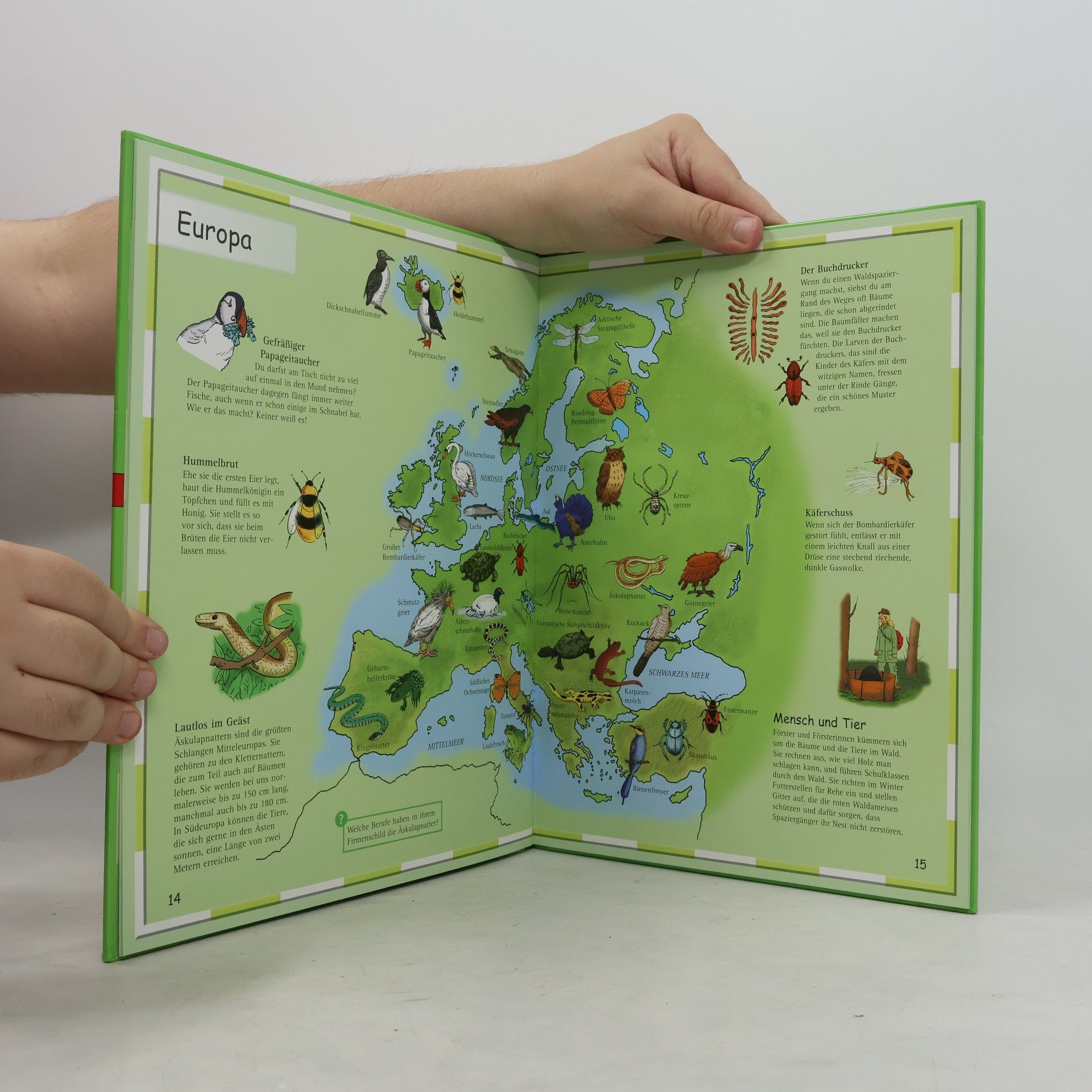 Ute Friesen Kinderatlas Tiere