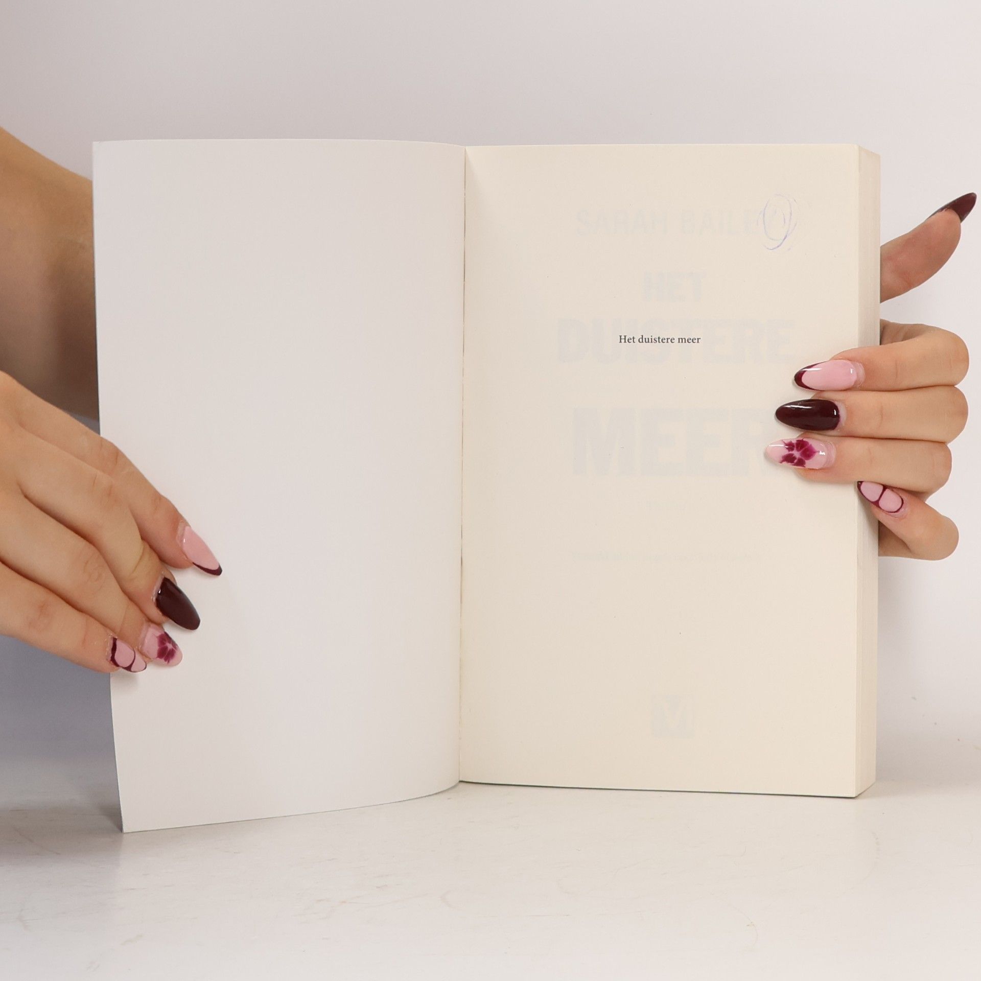 Sarah Bailey Het Duistere Meer