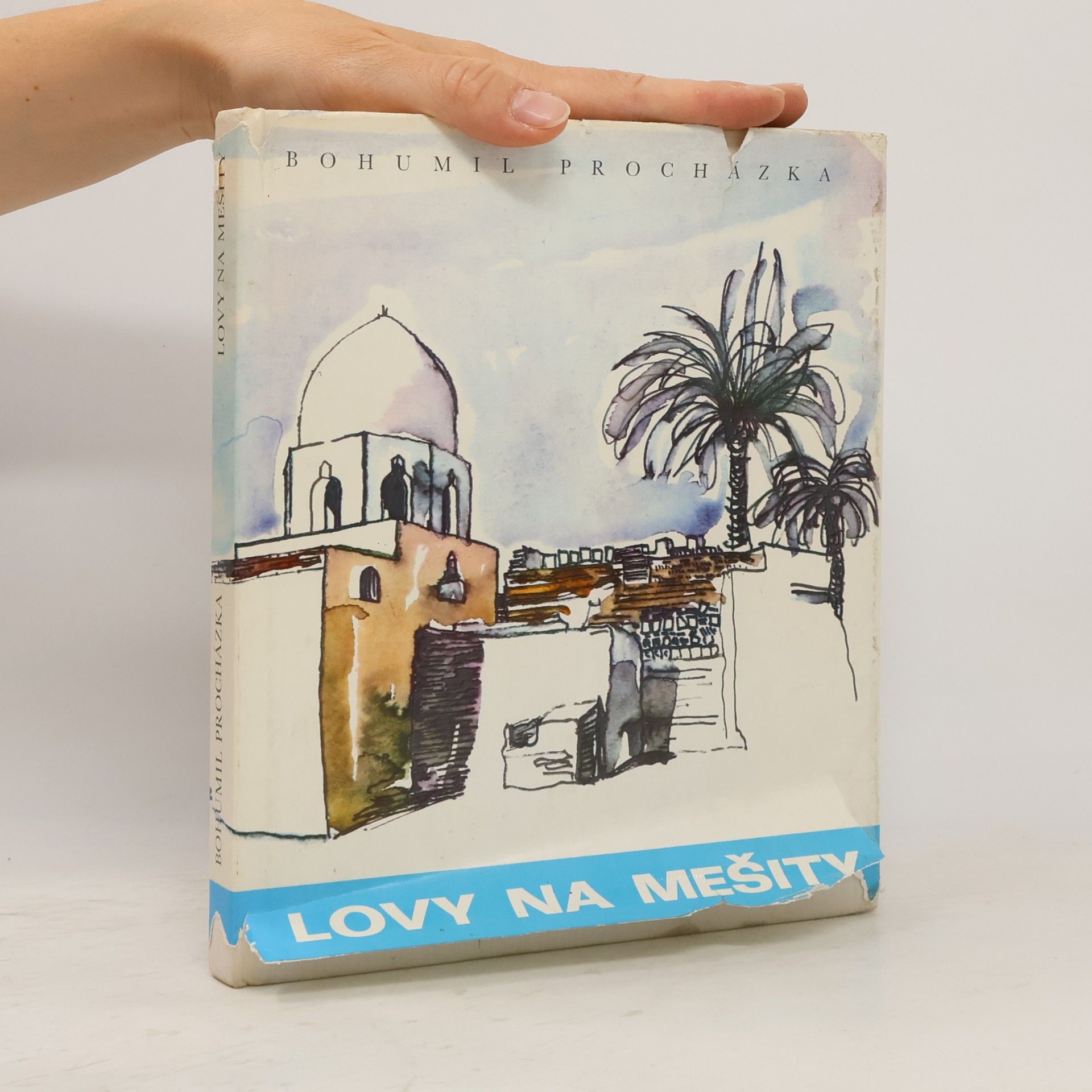 Amjad Bohumil Procházka Lovy na mešity