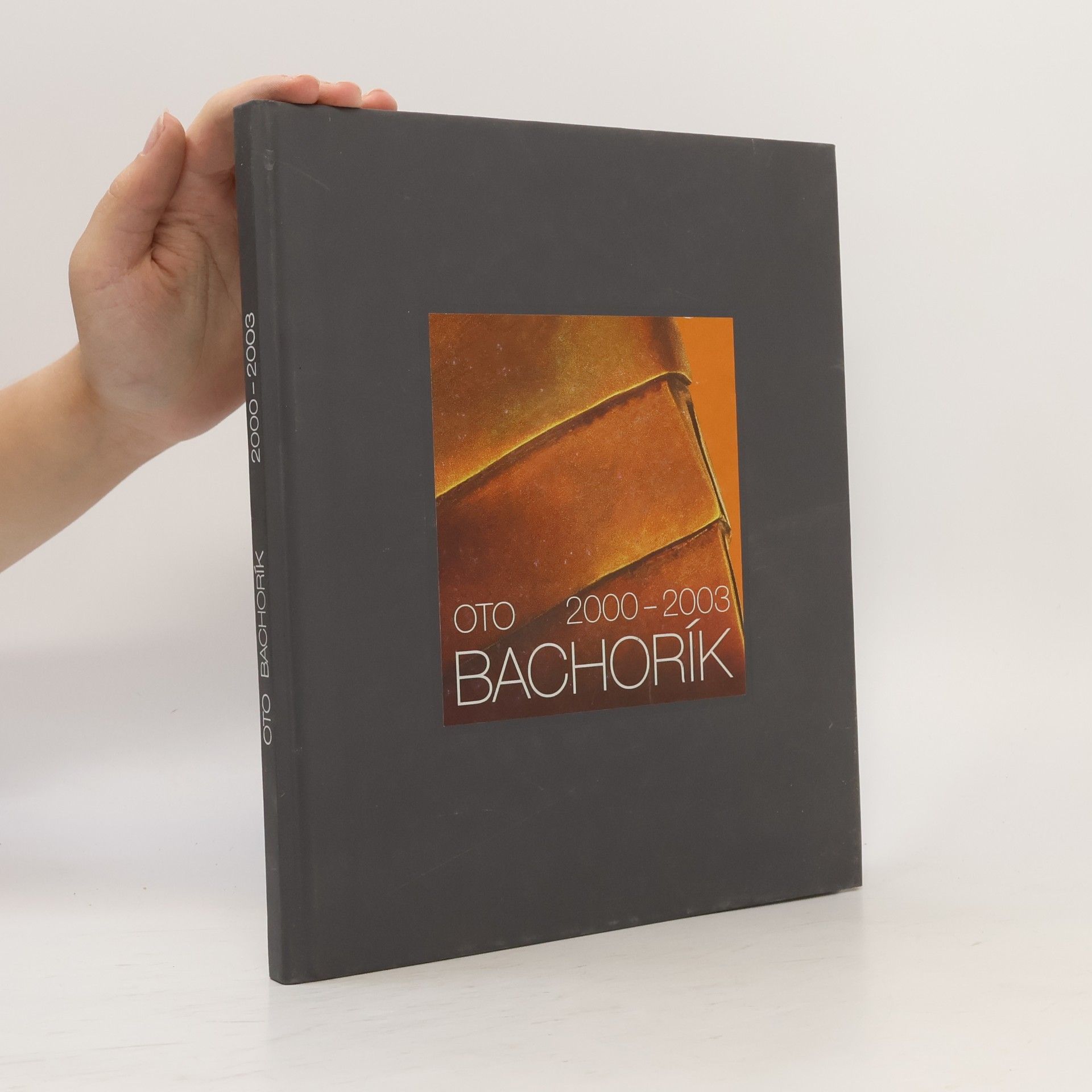 Pavel Mikuluščák Oto Bachorík 2000 - 2003