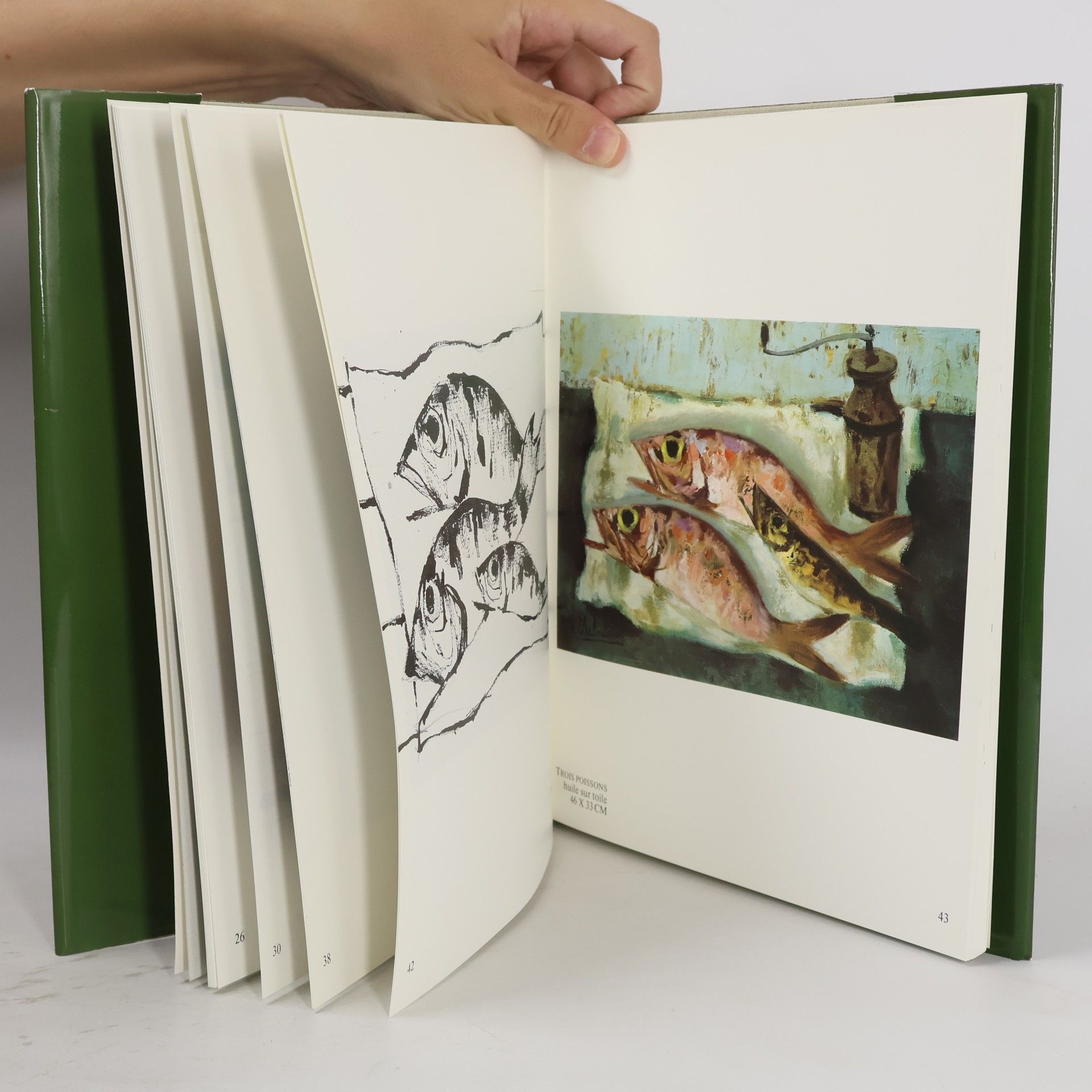Autores varios Baboulène