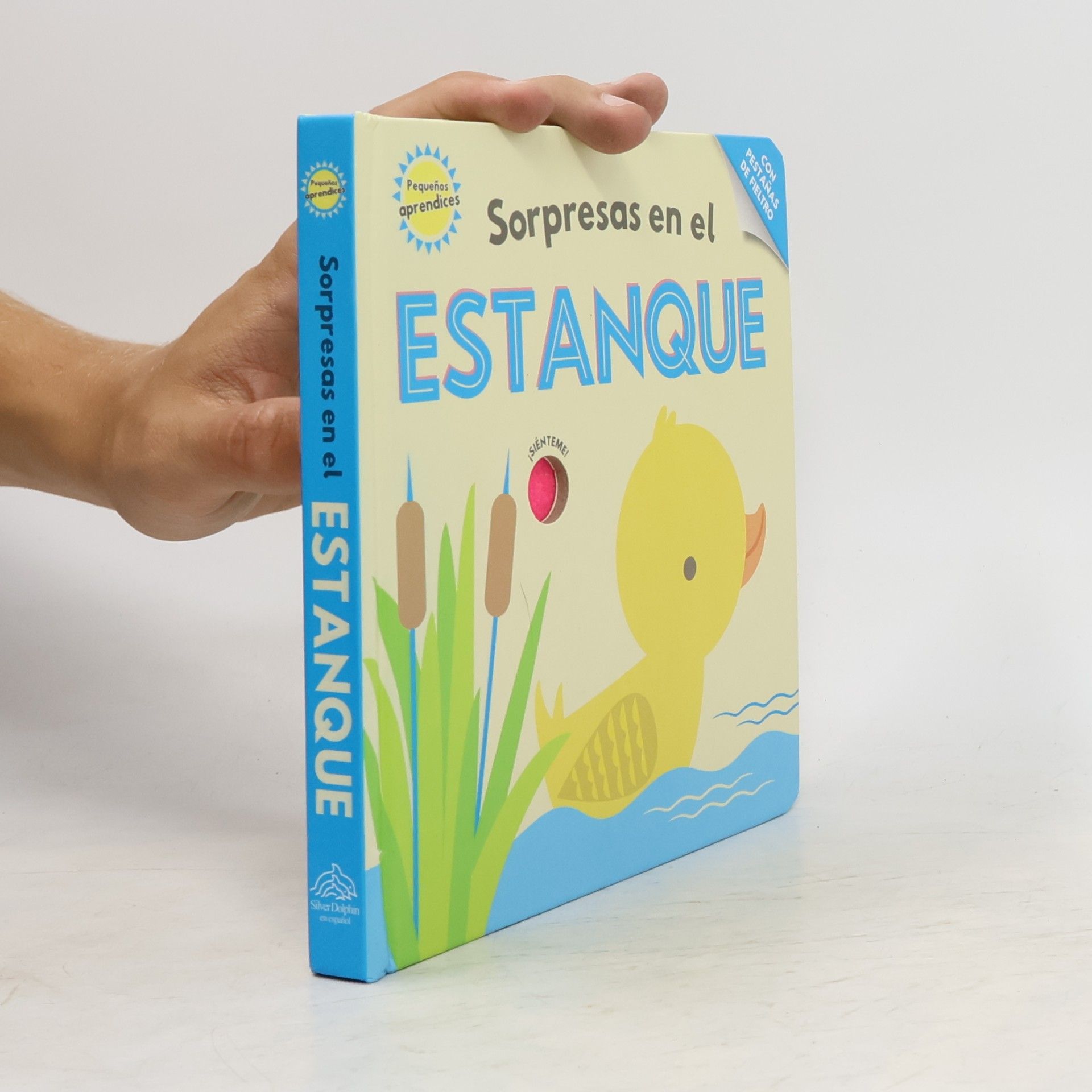 Collectif d'auteurs Pequeños aprendices