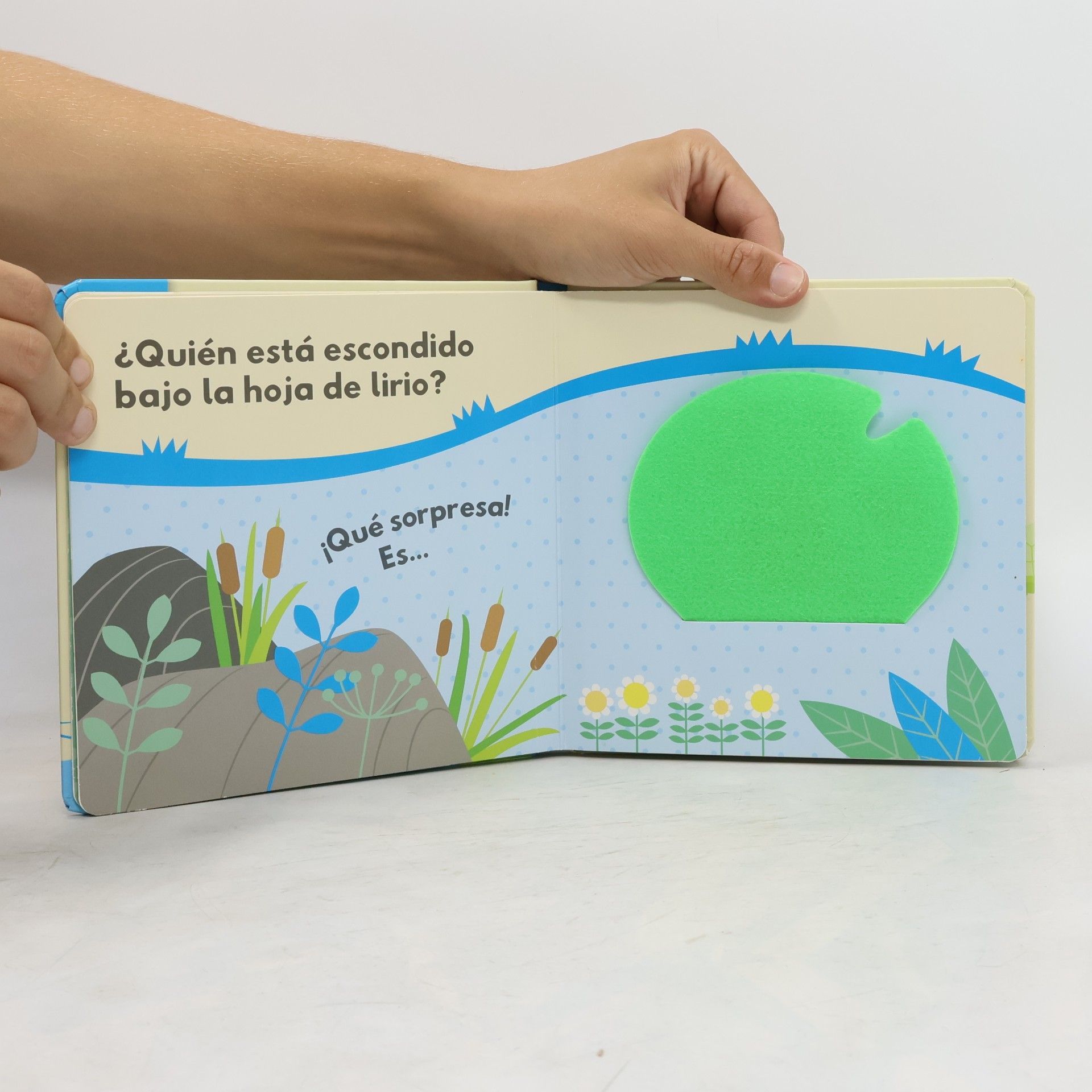 Pequeños aprendices