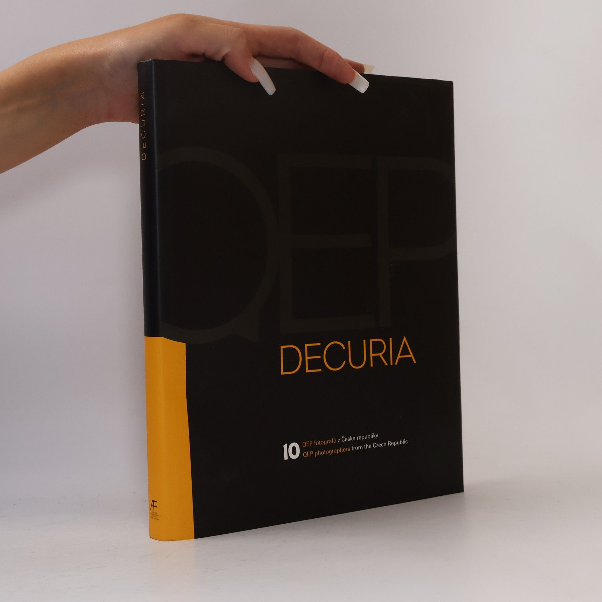Kolektiv autorů Decuria
