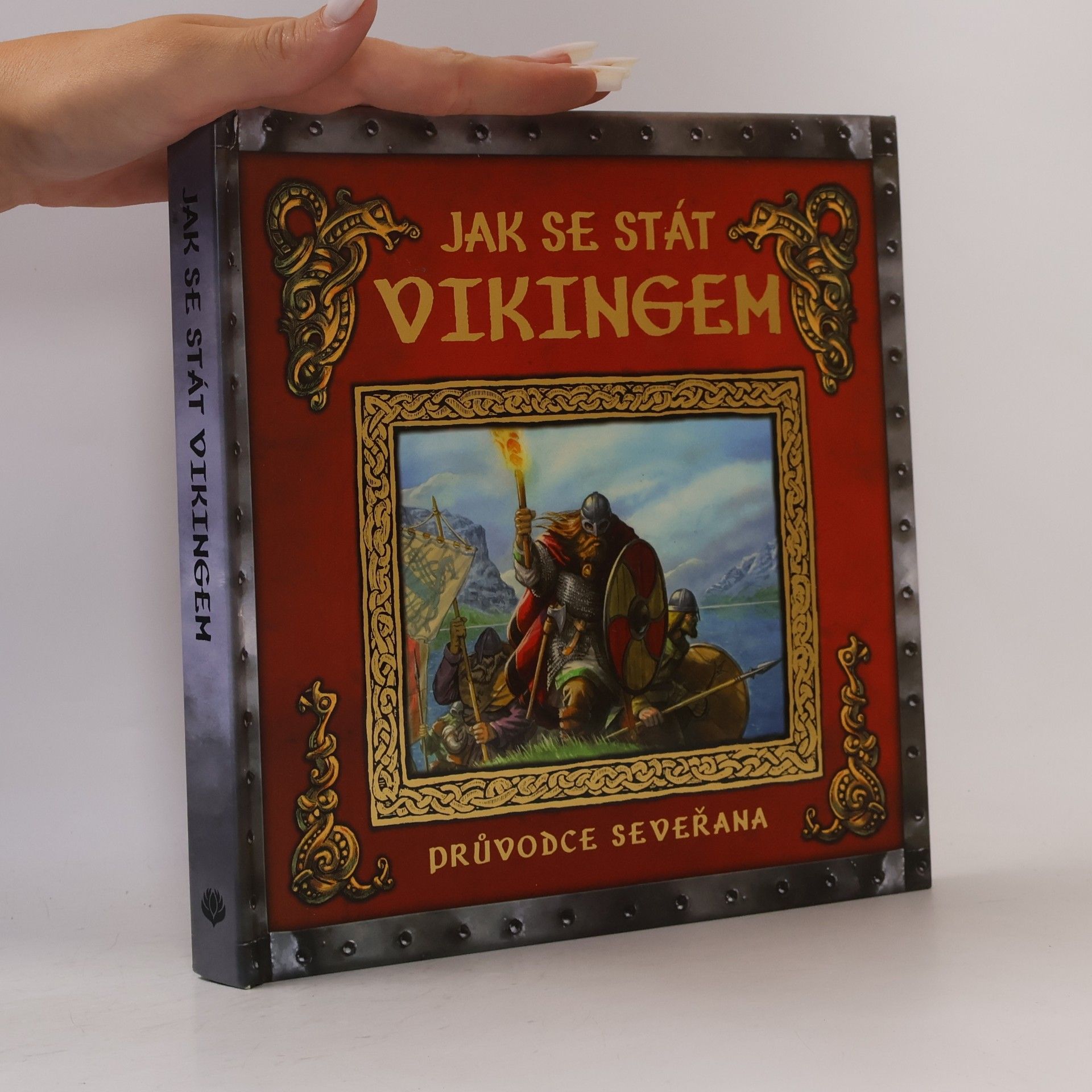 Ari Berk Jak se stát vikingem - Průvodce seveřana