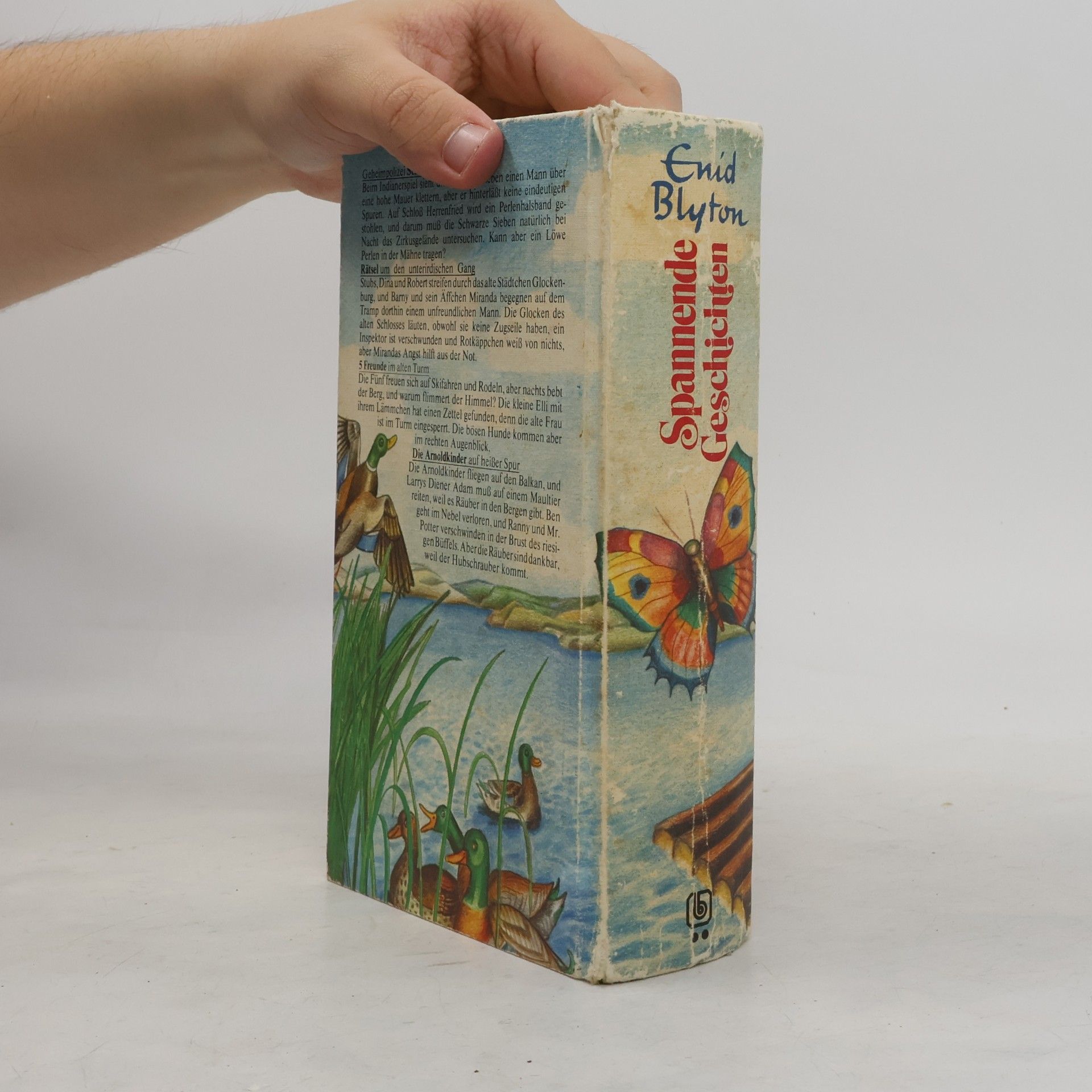 Enid Blyton Spannende Geschichten