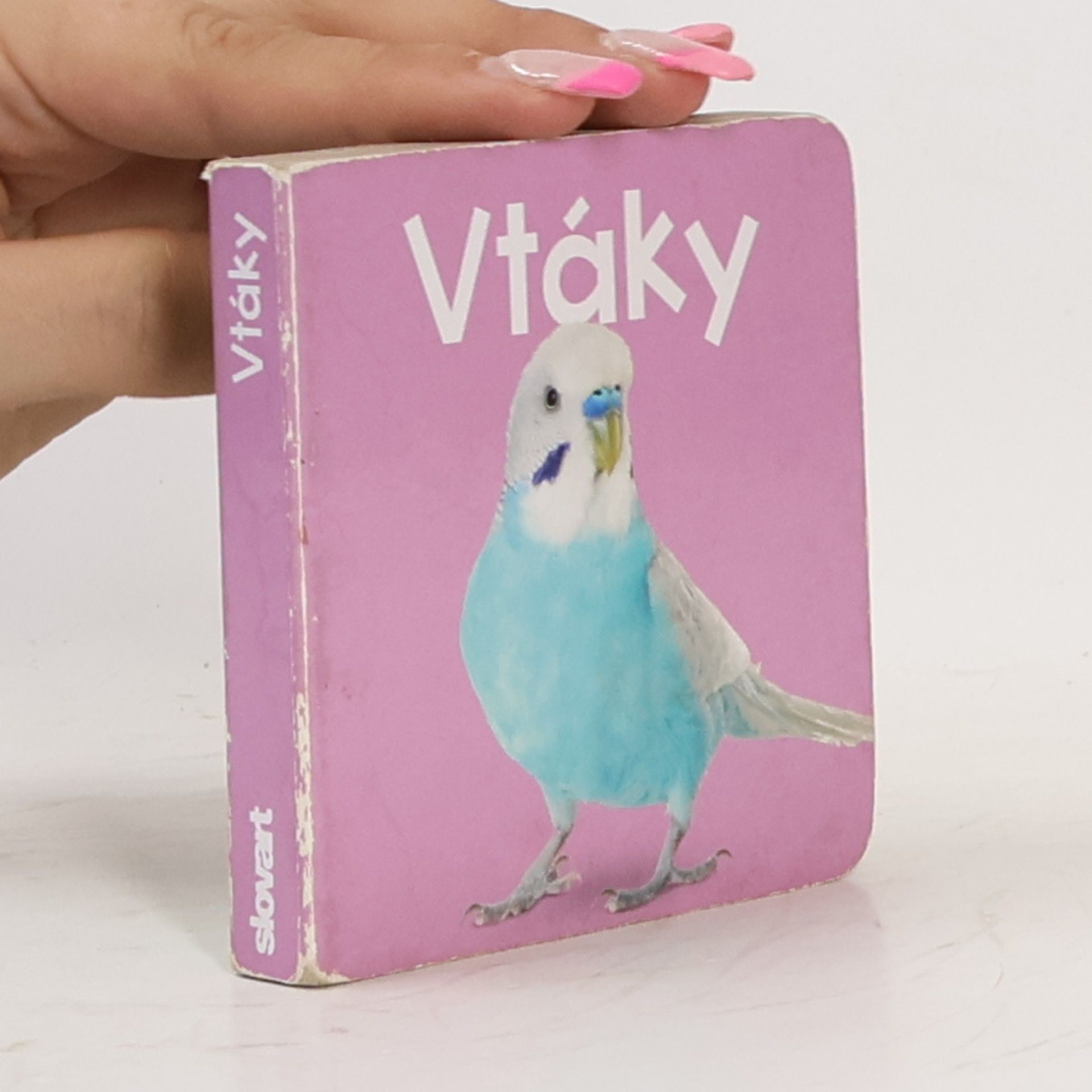 AA.VV. Vtáky