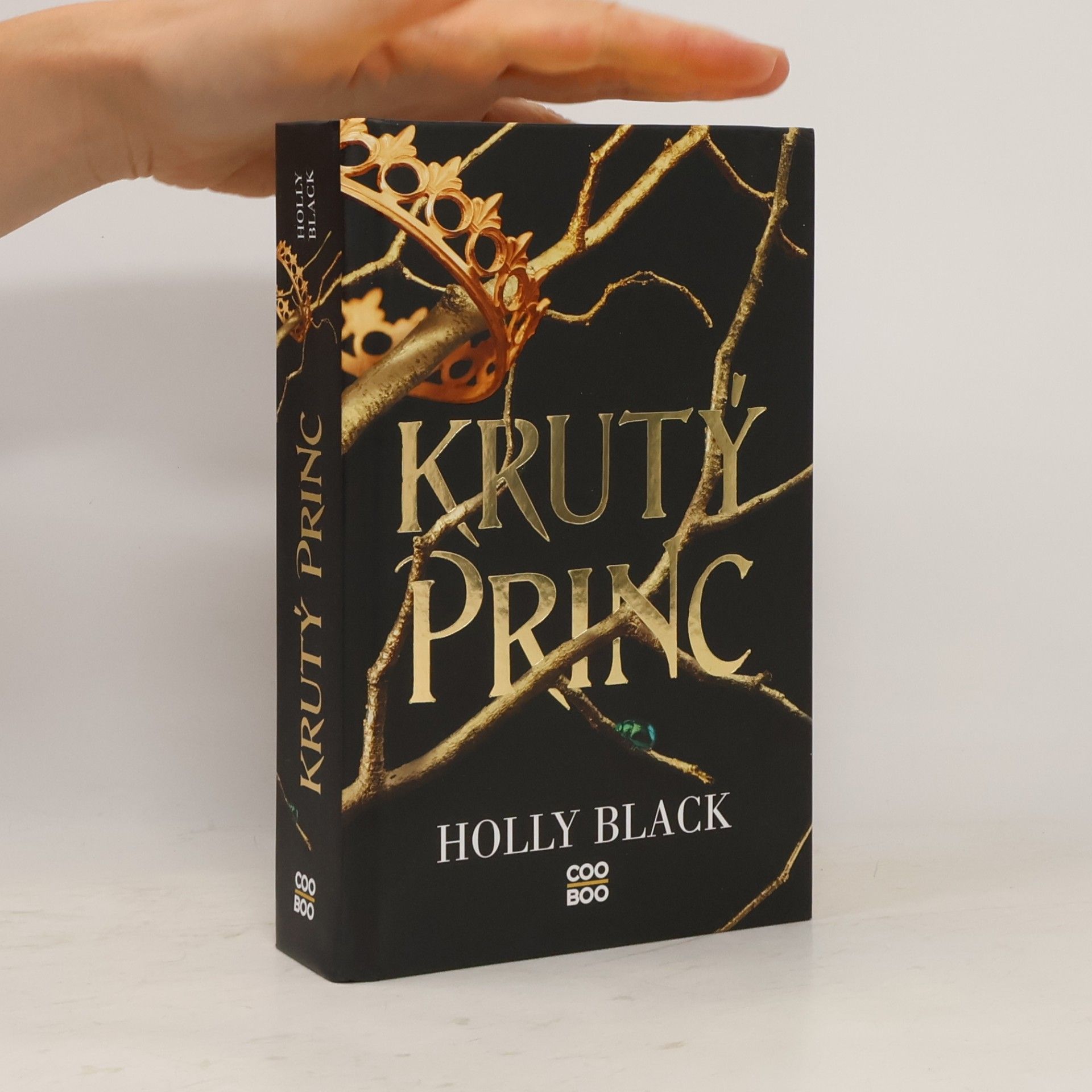 Holly Black Krutý princ