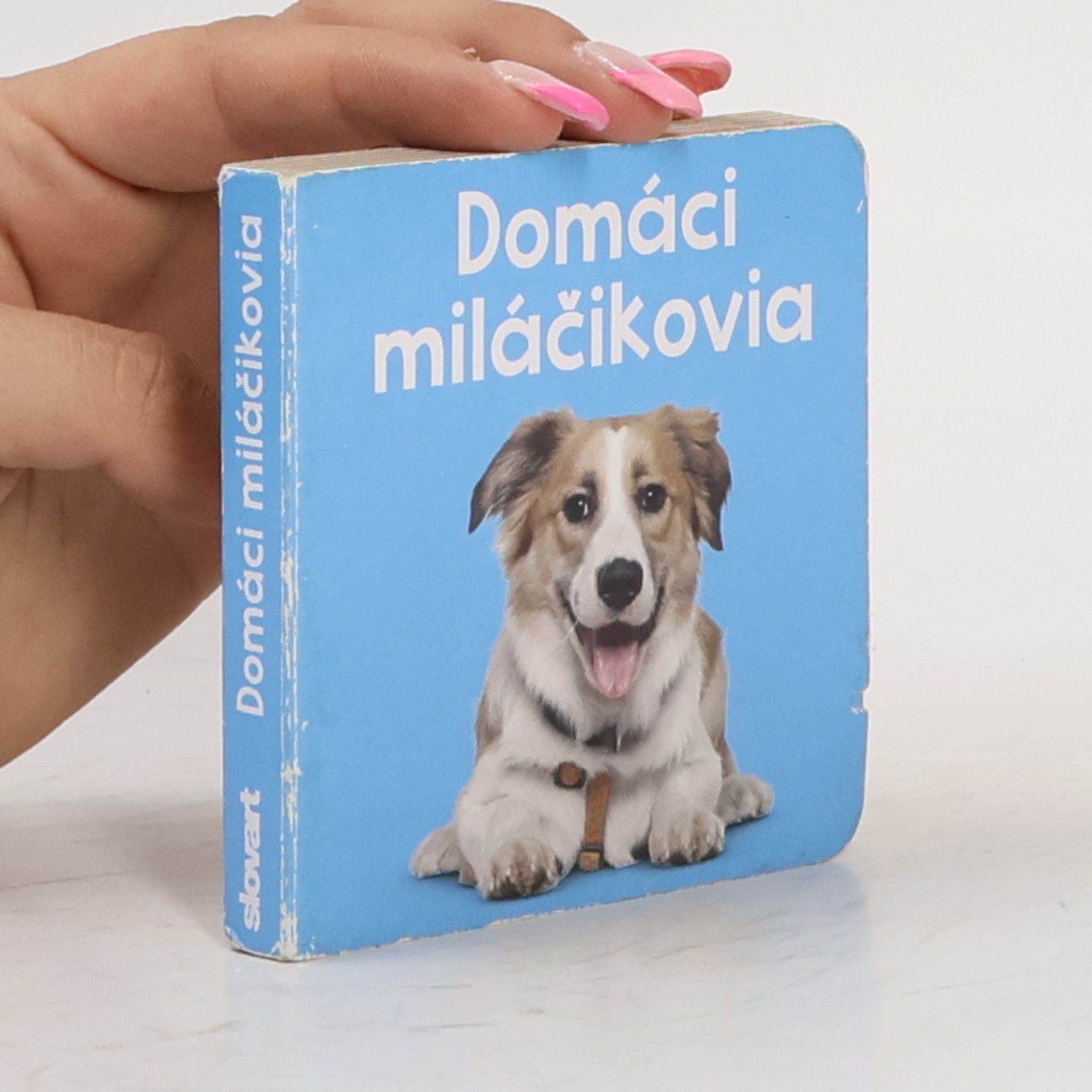 AA.VV. Domáci miláčikovia