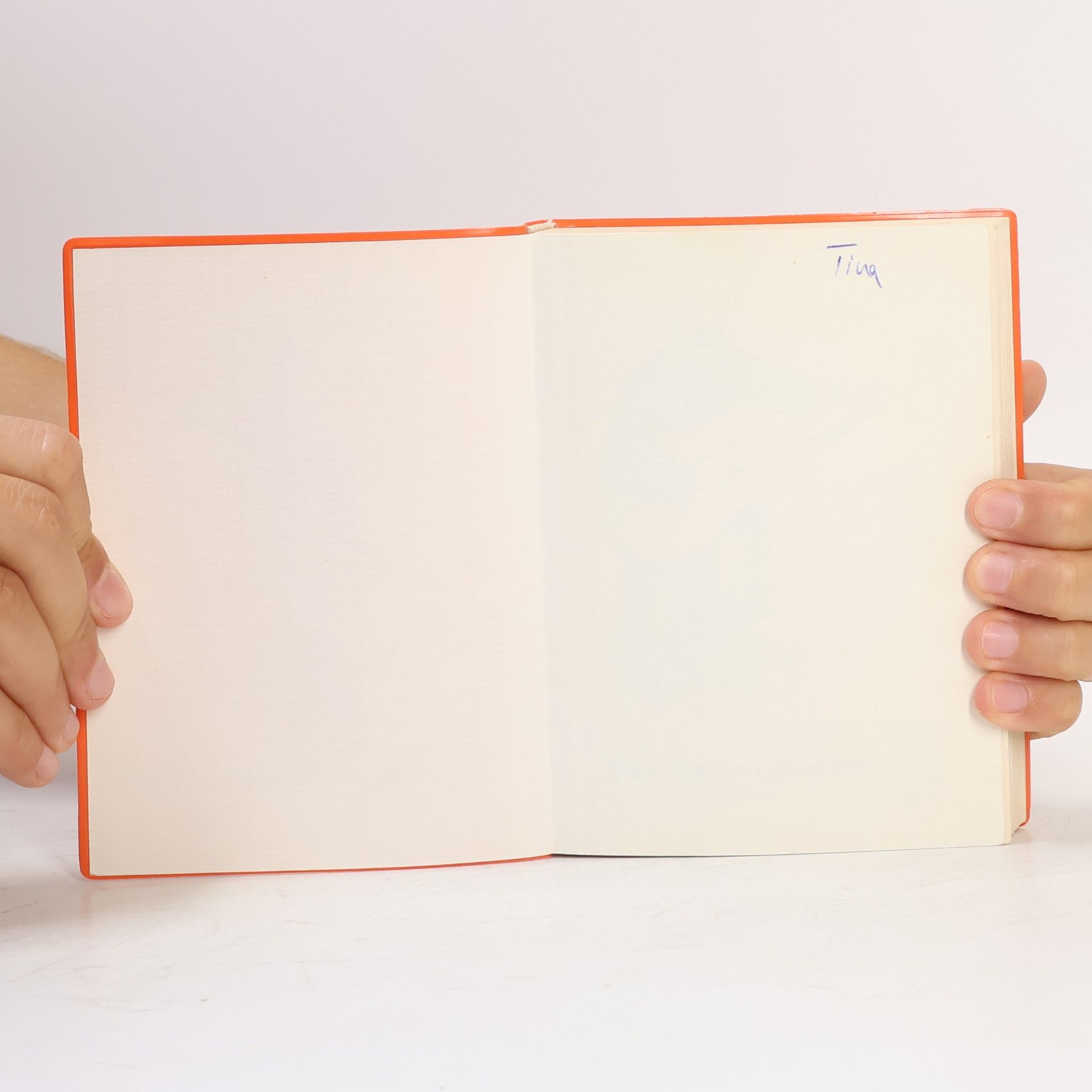 Reinhold Brumberger Der Bettelmusikant. Liederbuch von Franziskanermönchen verfasst