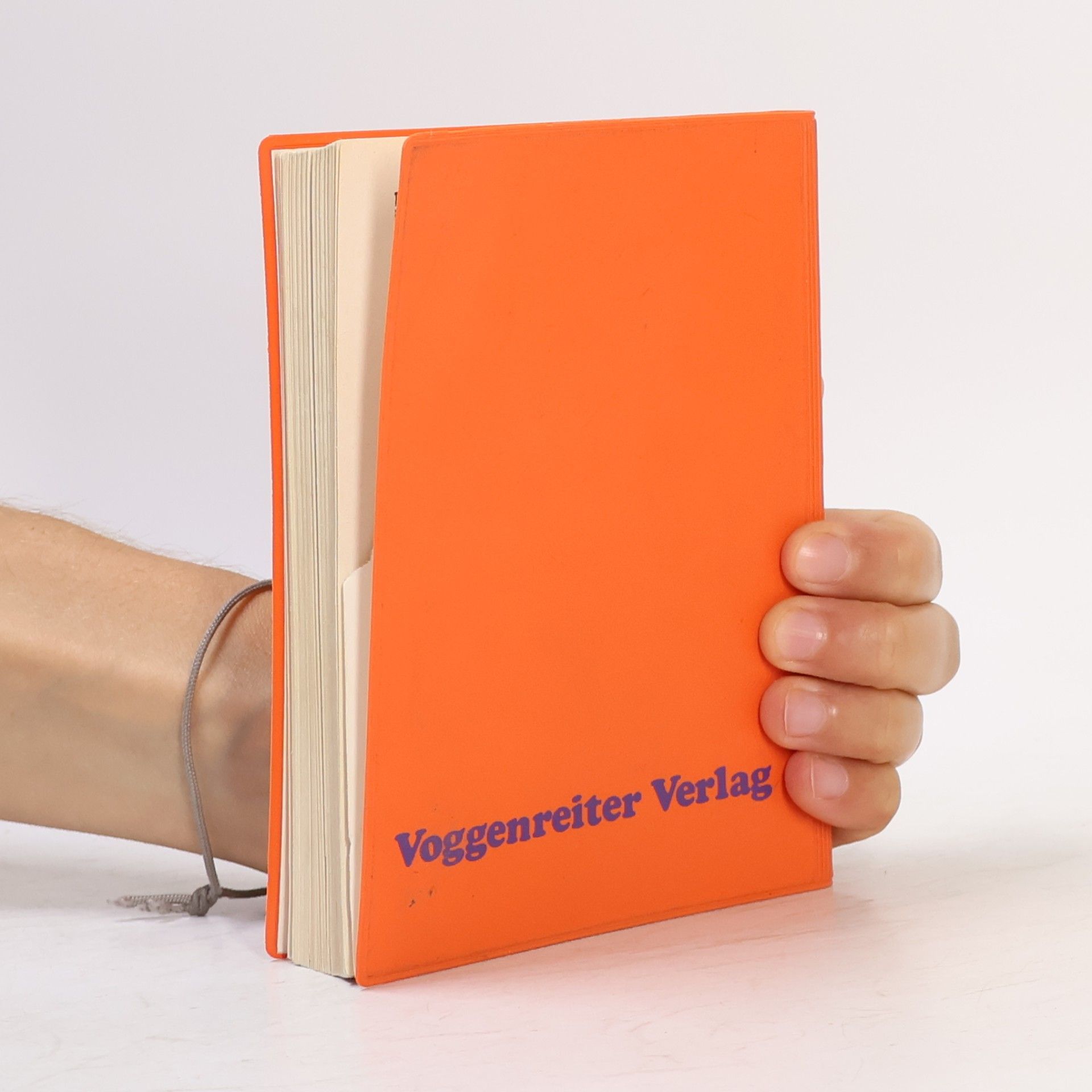 Reinhold Brumberger Der Bettelmusikant. Liederbuch von Franziskanermönchen verfasst
