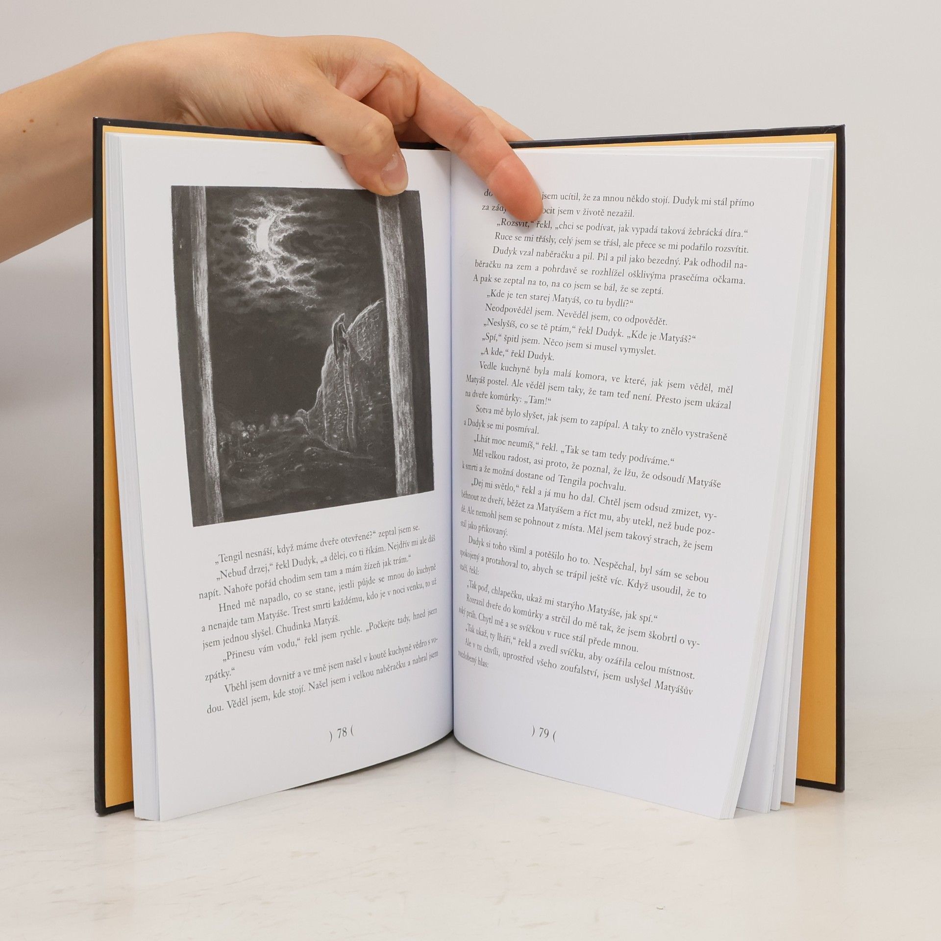 Astrid Lindgren Bratři Lví srdce