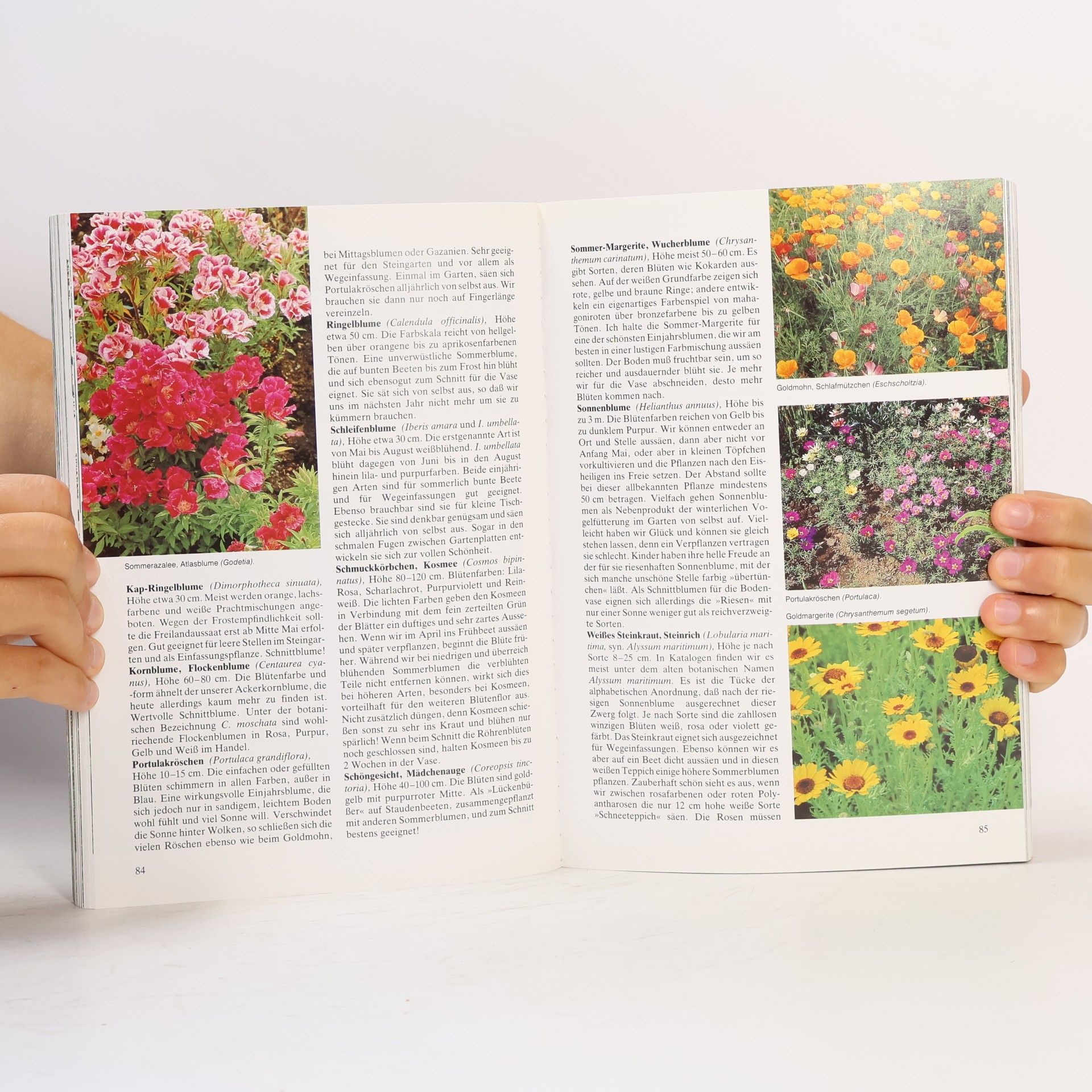 Martin Stangl Mein Hobby - der Garten
