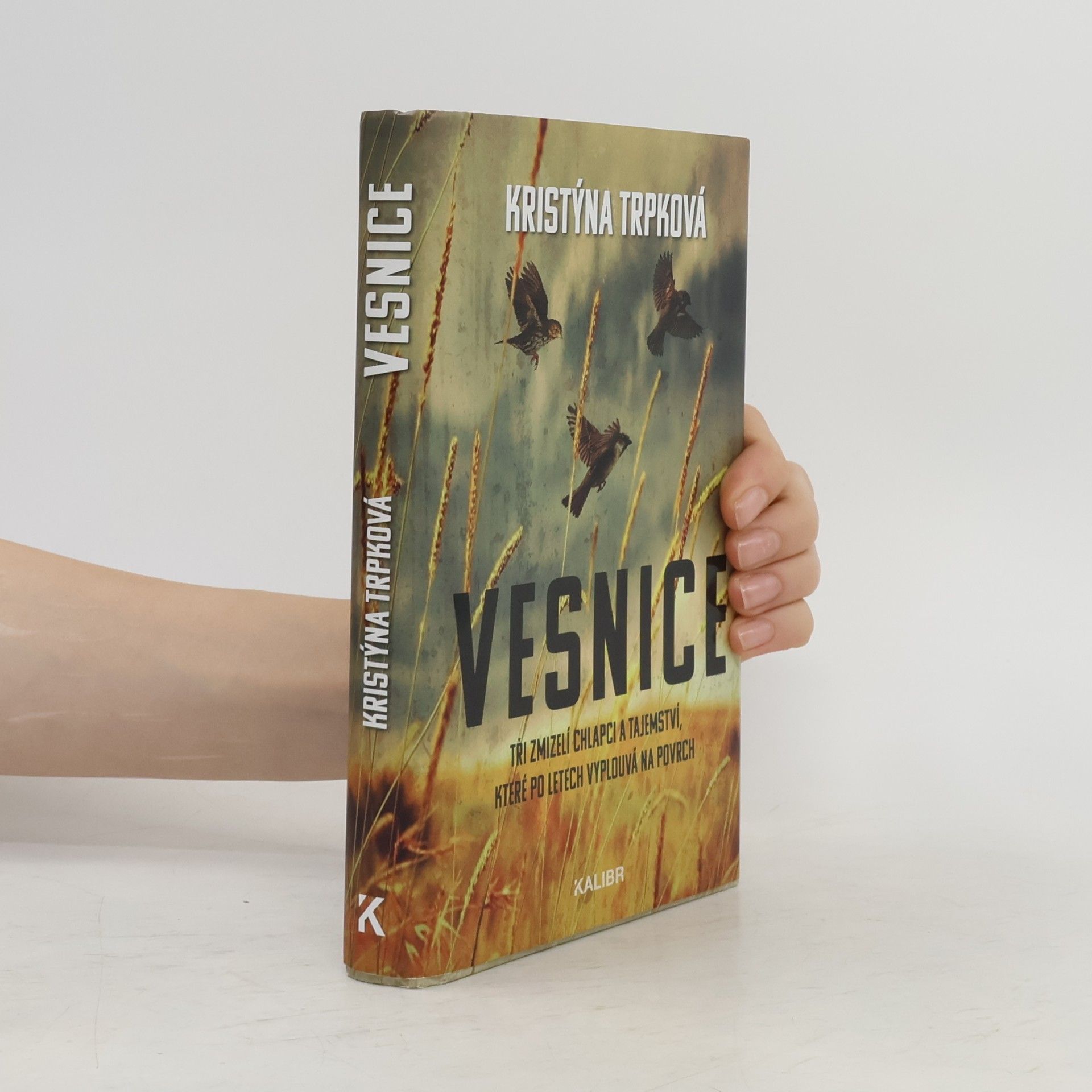Kristýna Trpková Vesnice